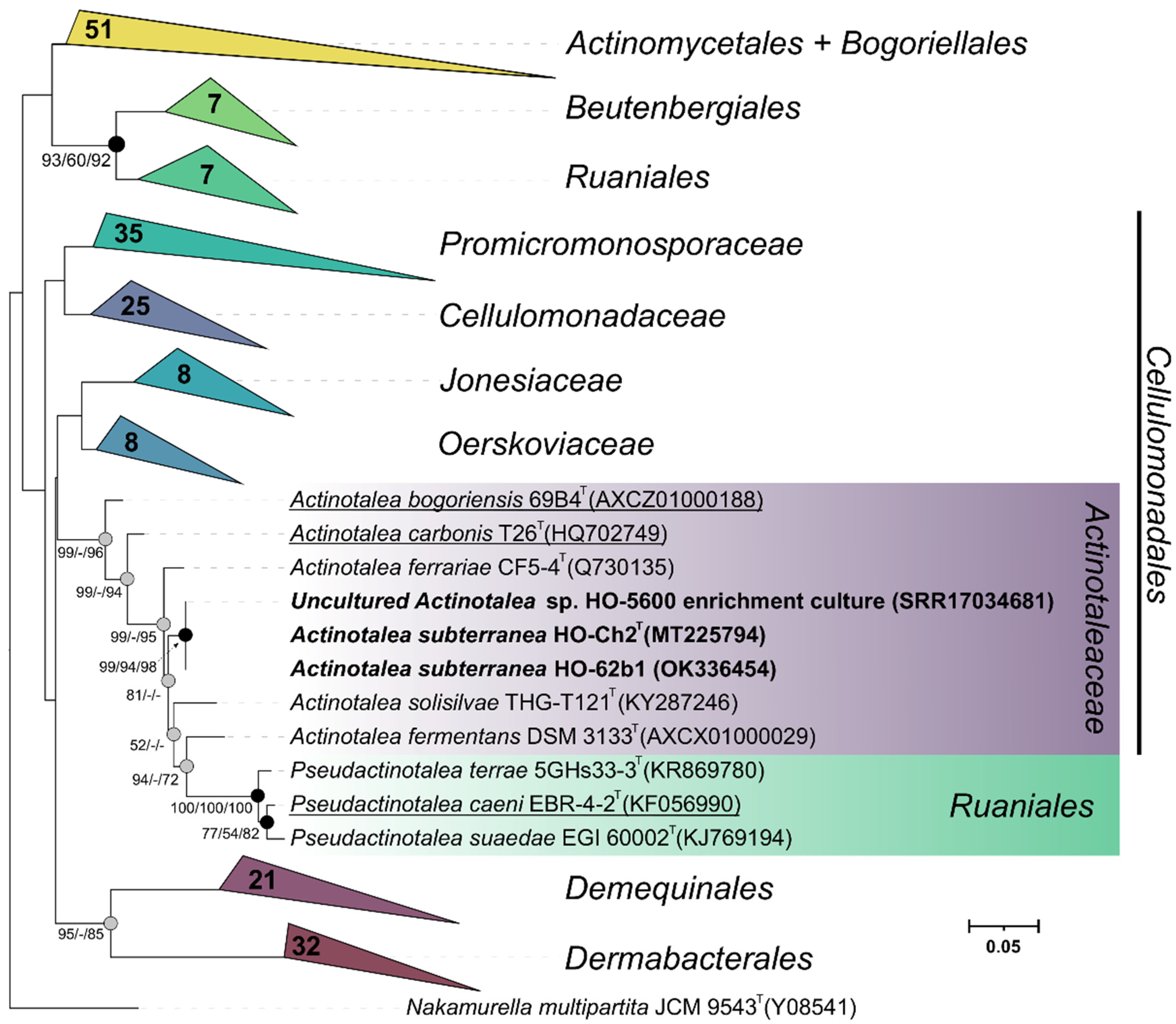 Microorganisms 10 00378 g002