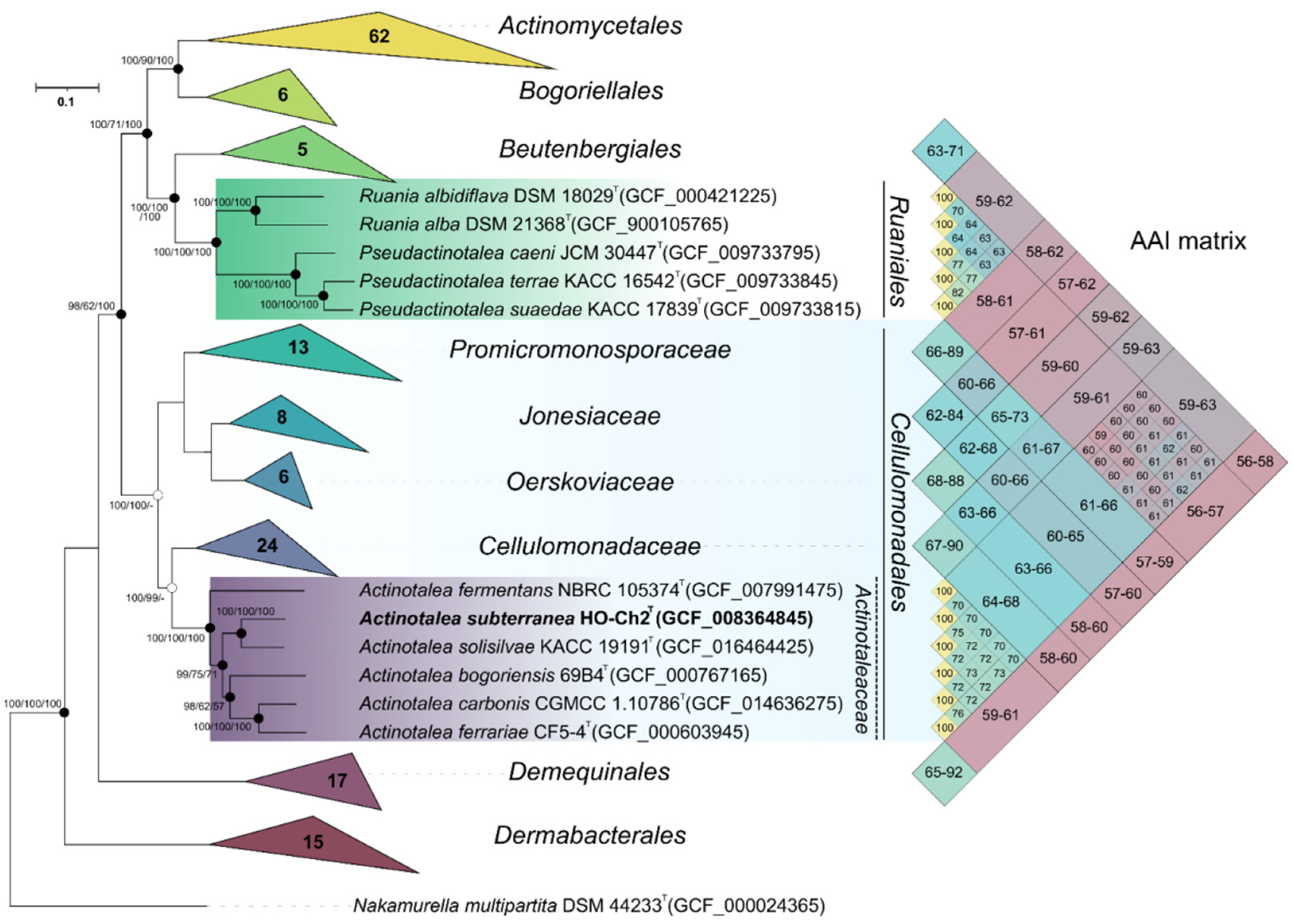 Microorganisms 10 00378 g003