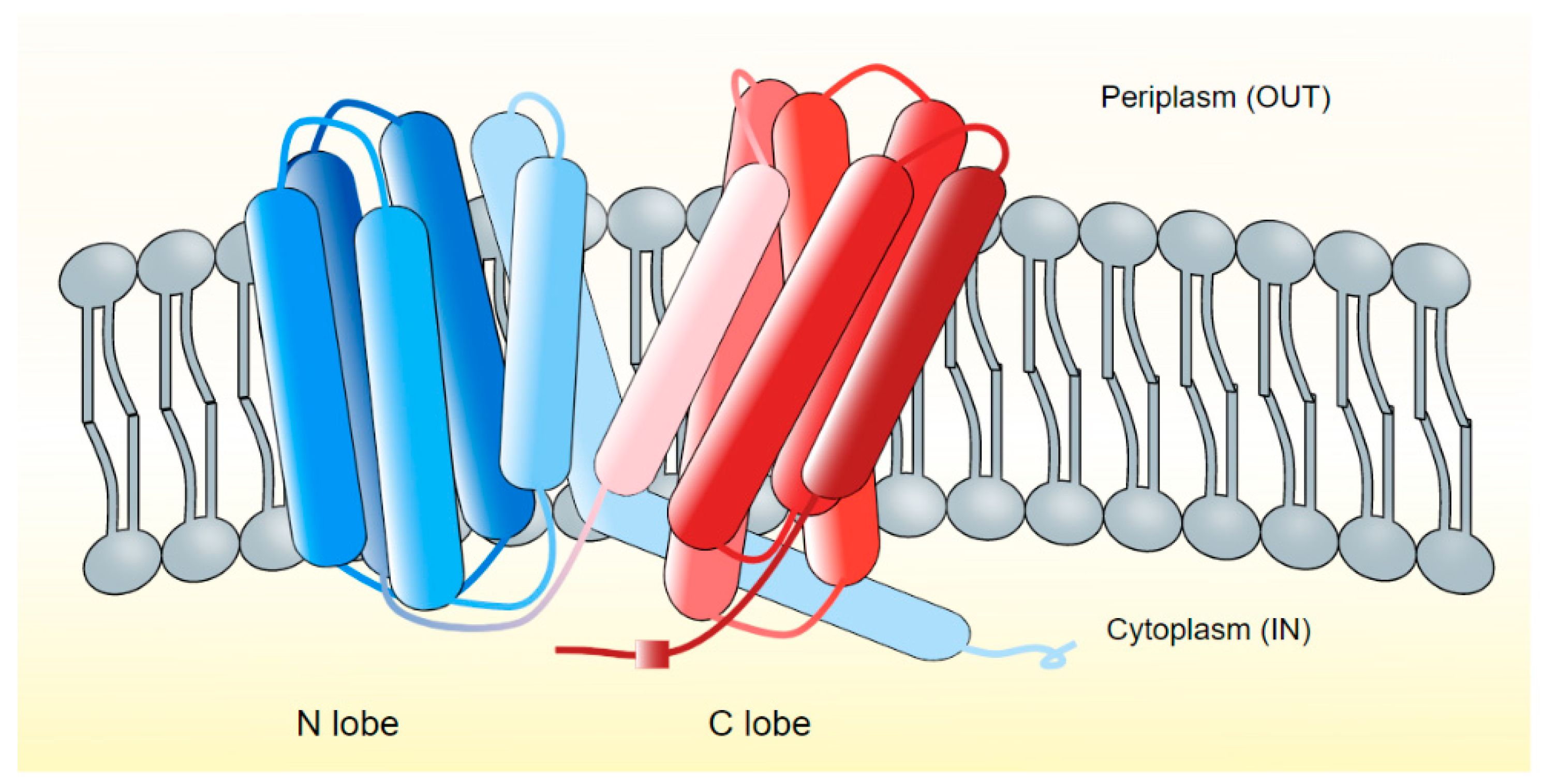 Microorganisms 10 00382 g001