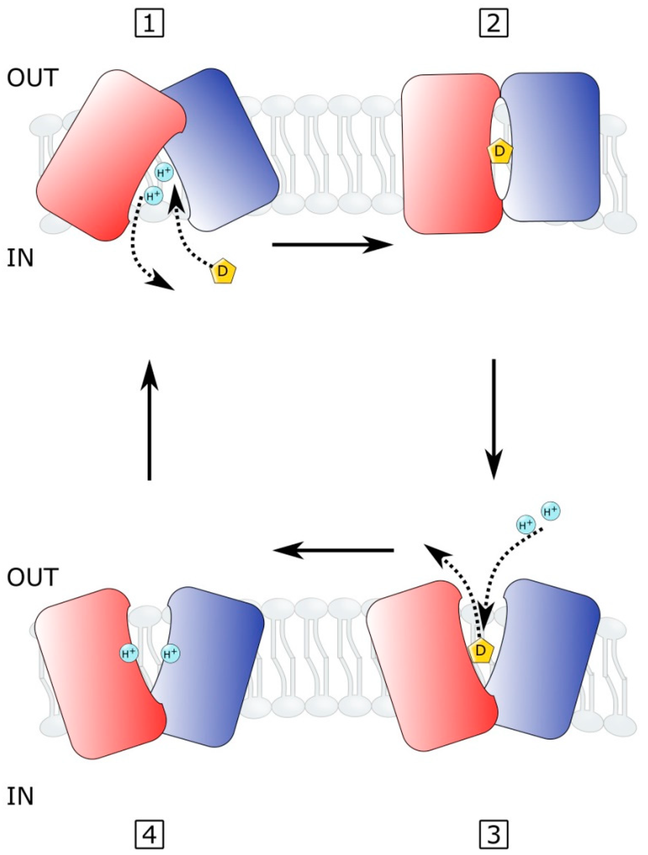 Microorganisms 10 00382 g003