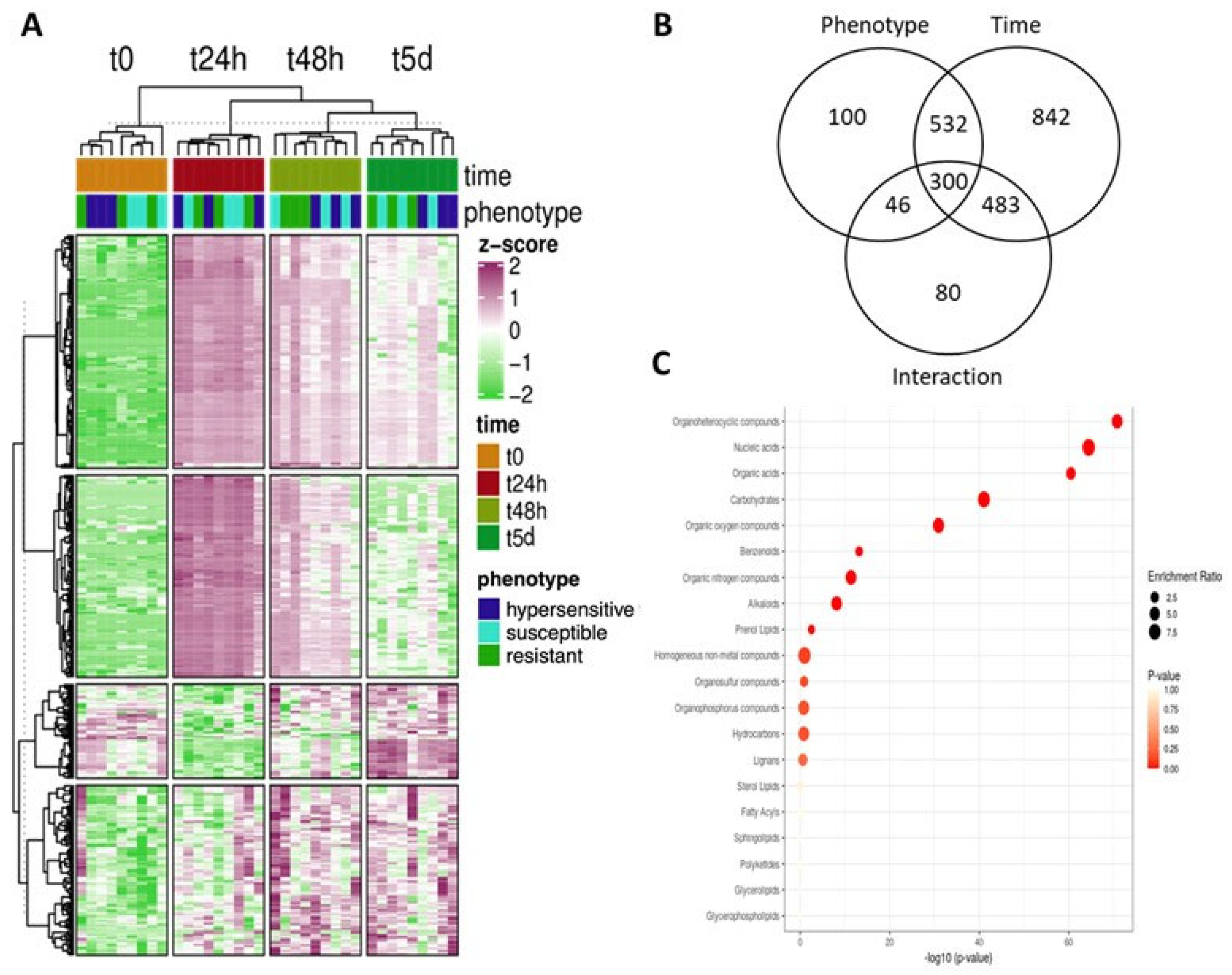 Microorganisms 10 00383 g002