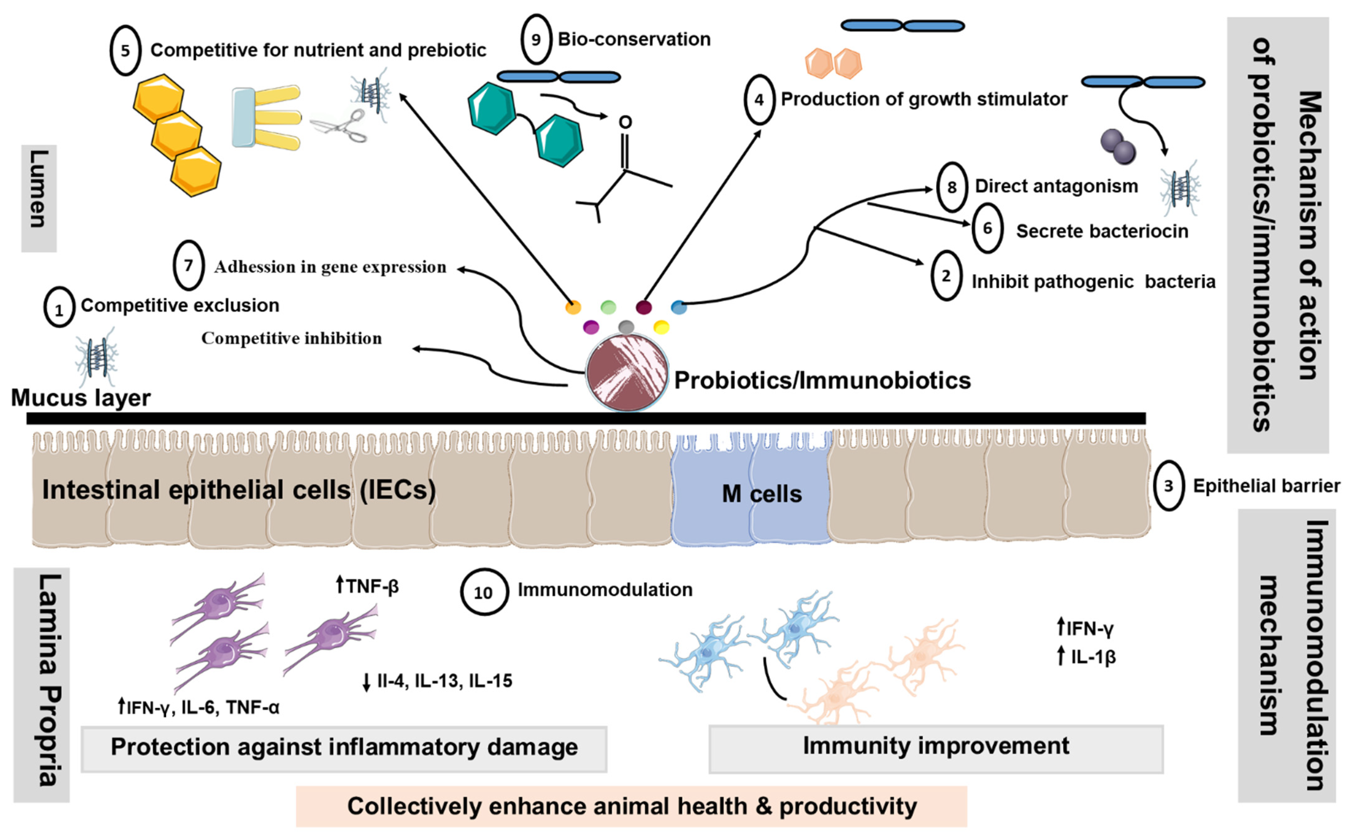 Microorganisms 10 00388 g003