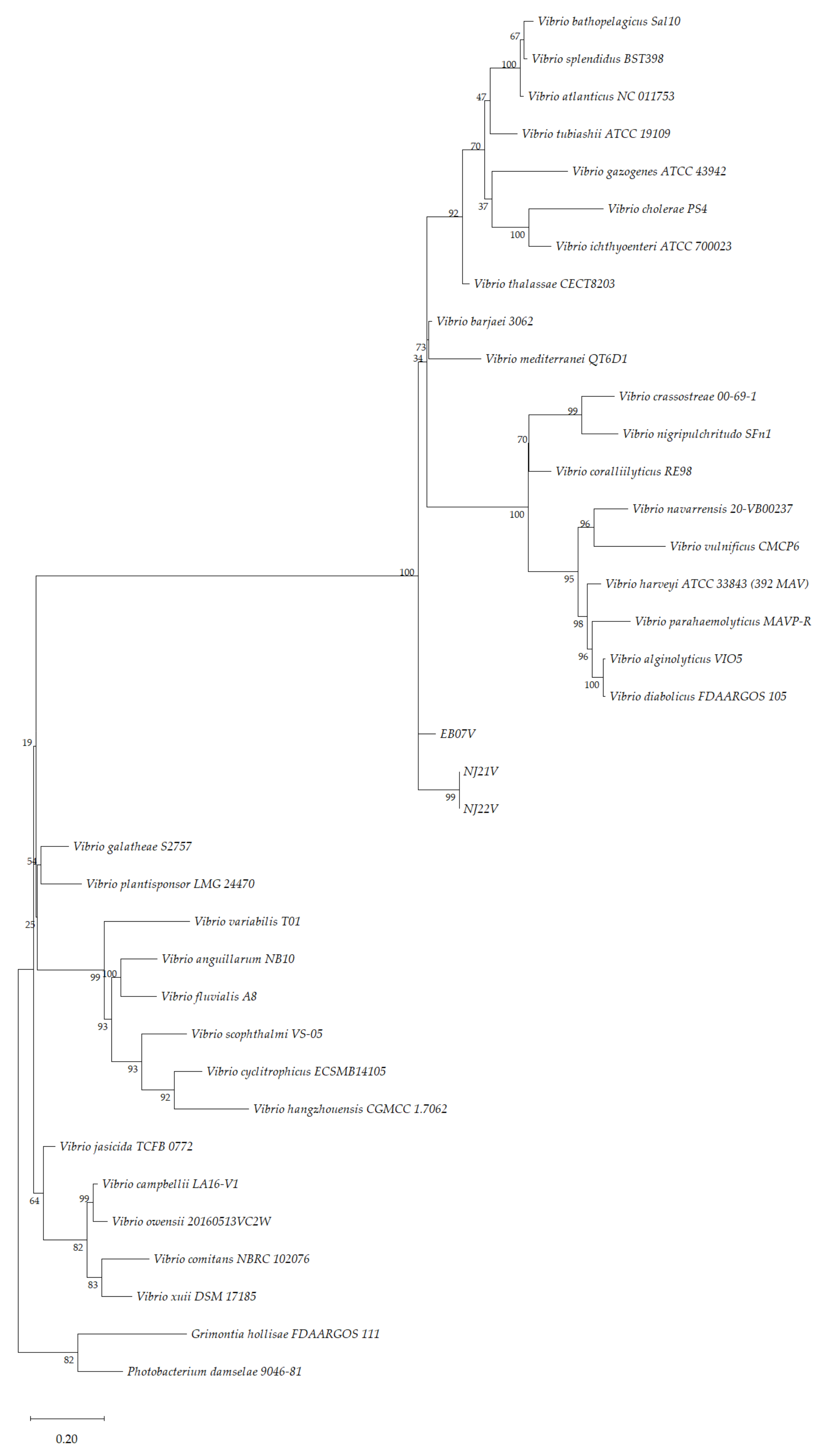 Microorganisms 10 00394 g002 Microorganisms 10 00394 g002