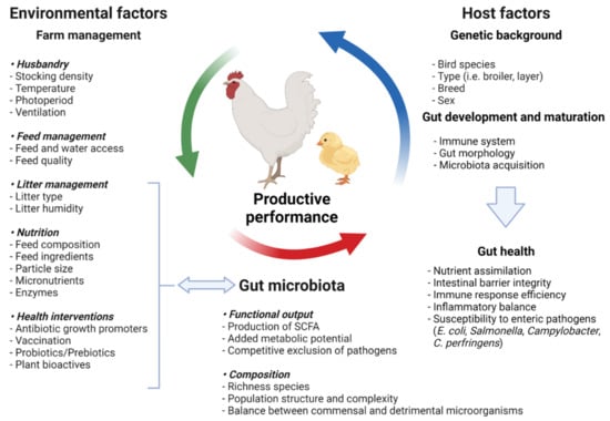 Microorganisms 10 00395 g001