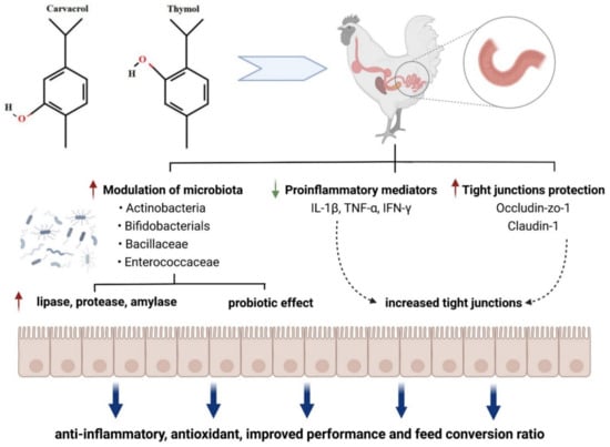 Microorganisms 10 00395 g006