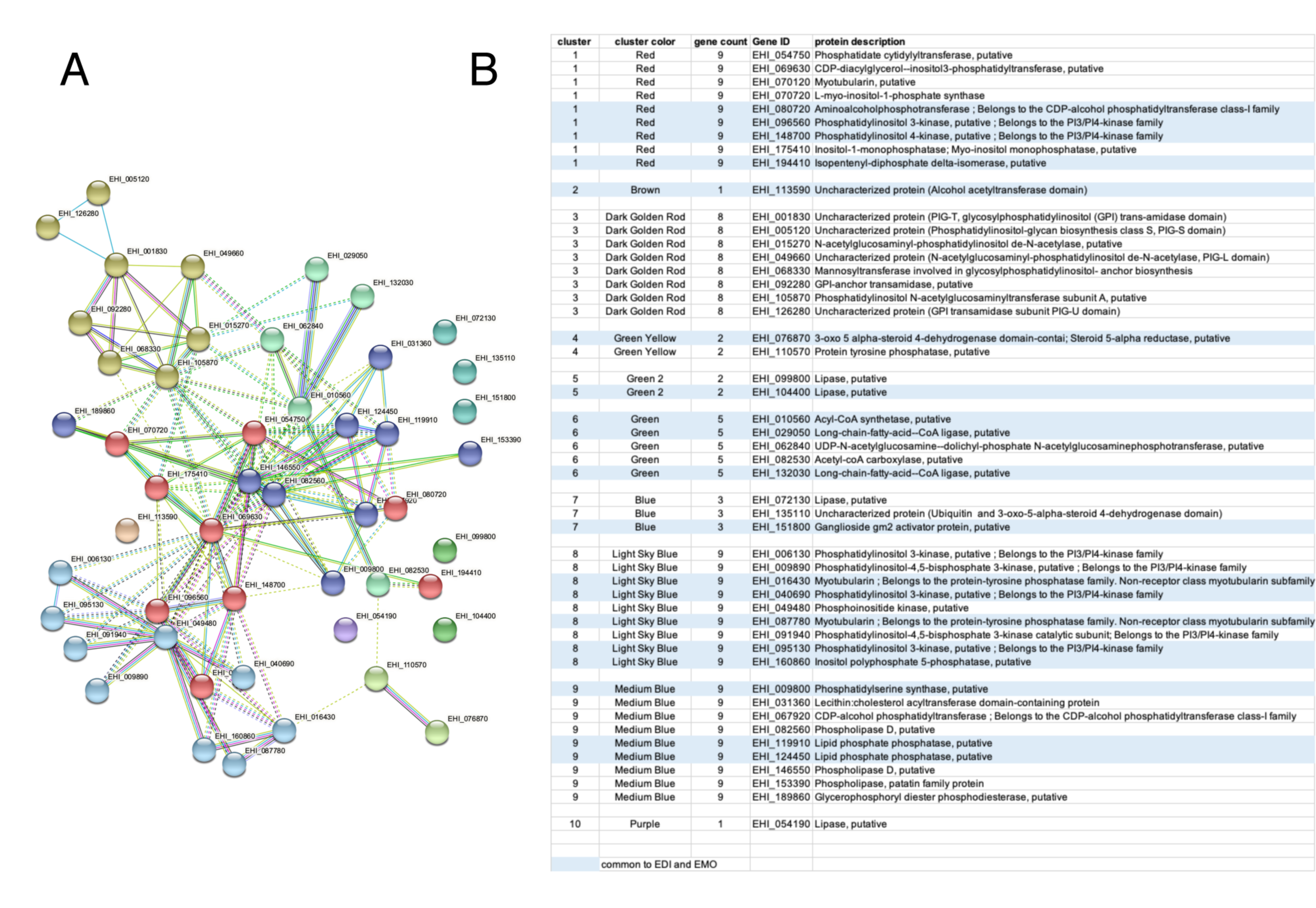 Microorganisms 10 00396 g007