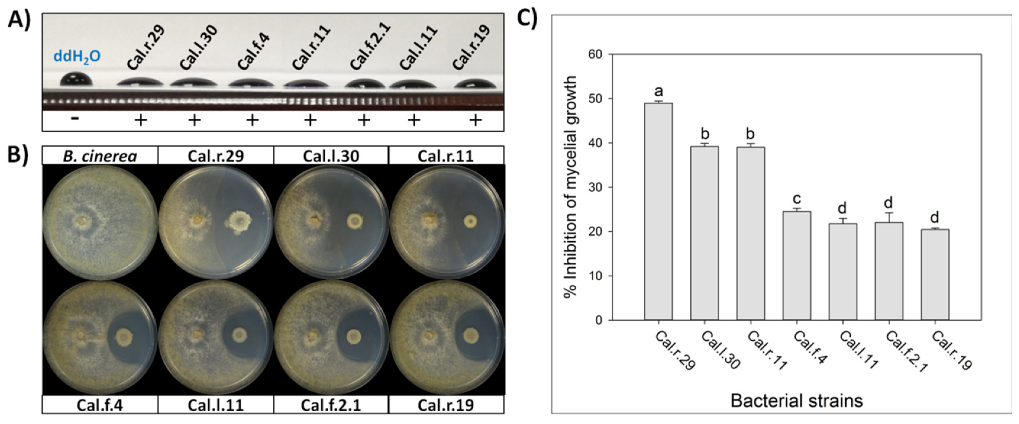 Microorganisms 10 00399 g001