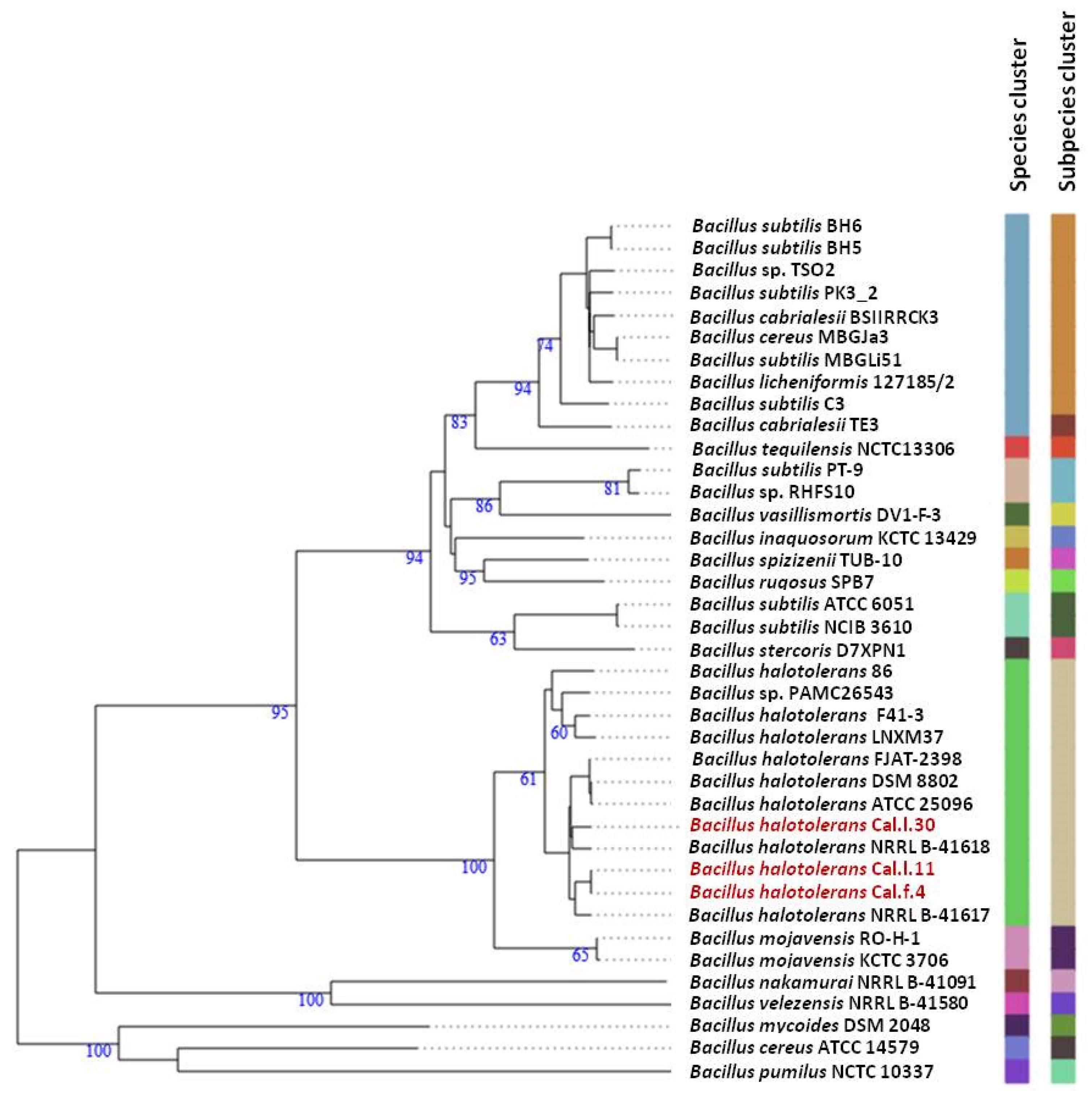 Microorganisms 10 00399 g003