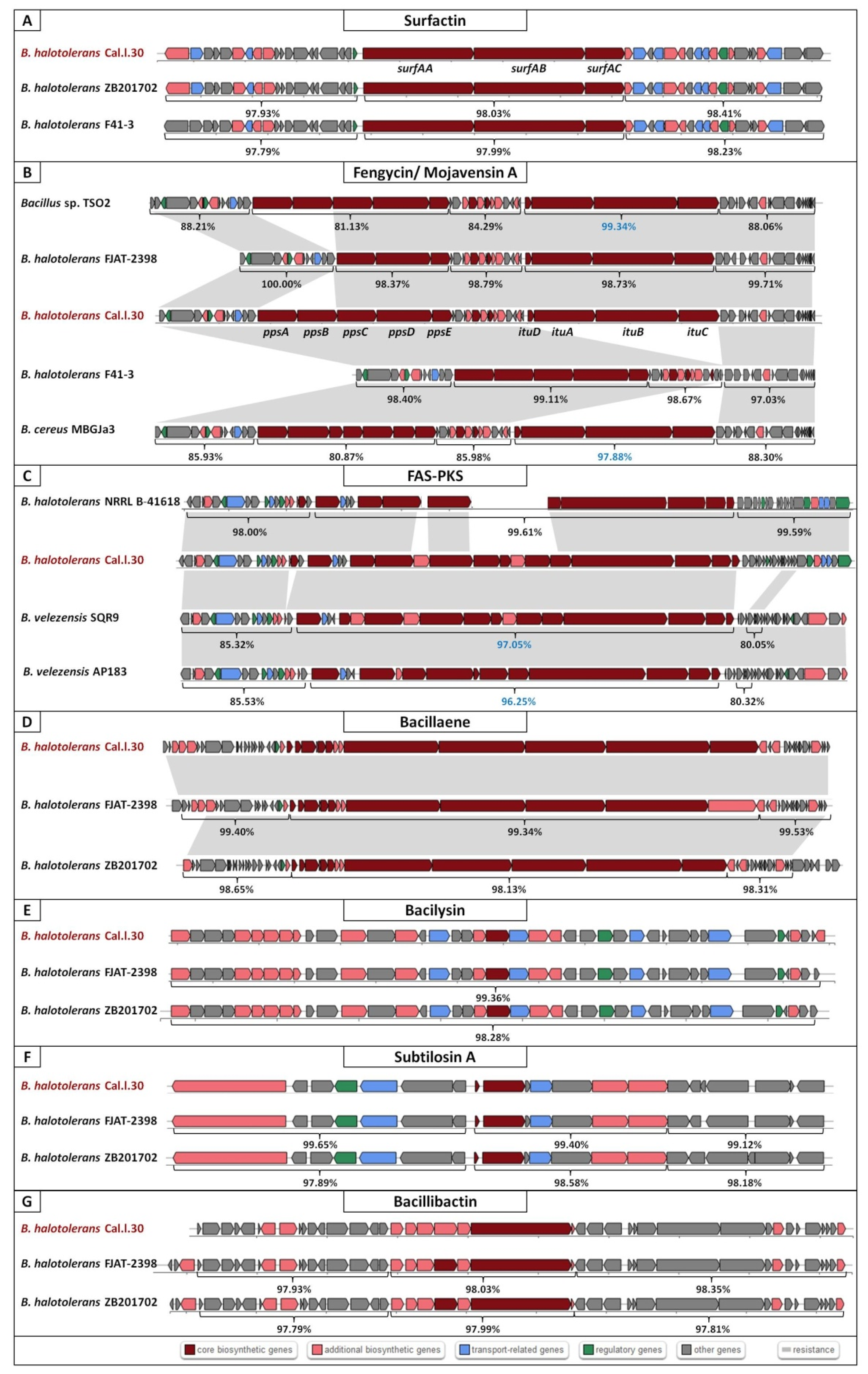 Microorganisms 10 00399 g005