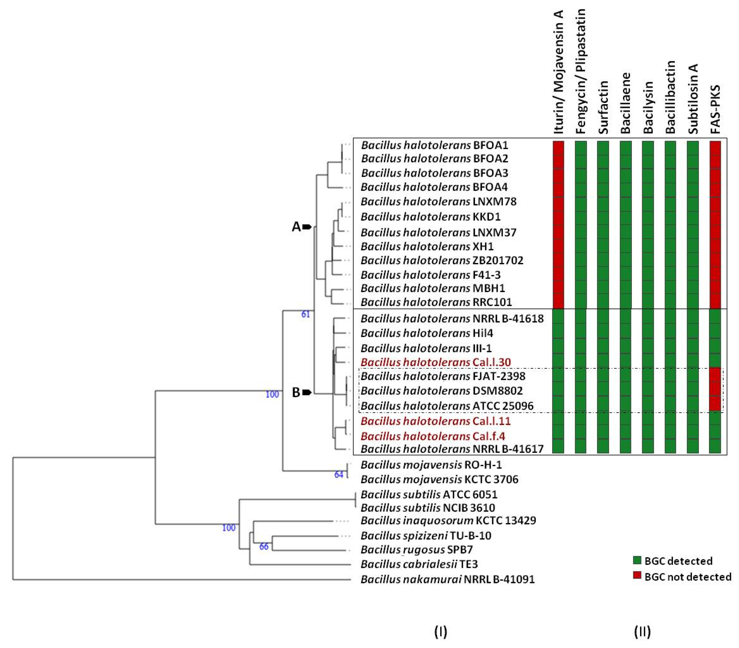 Microorganisms 10 00399 g006