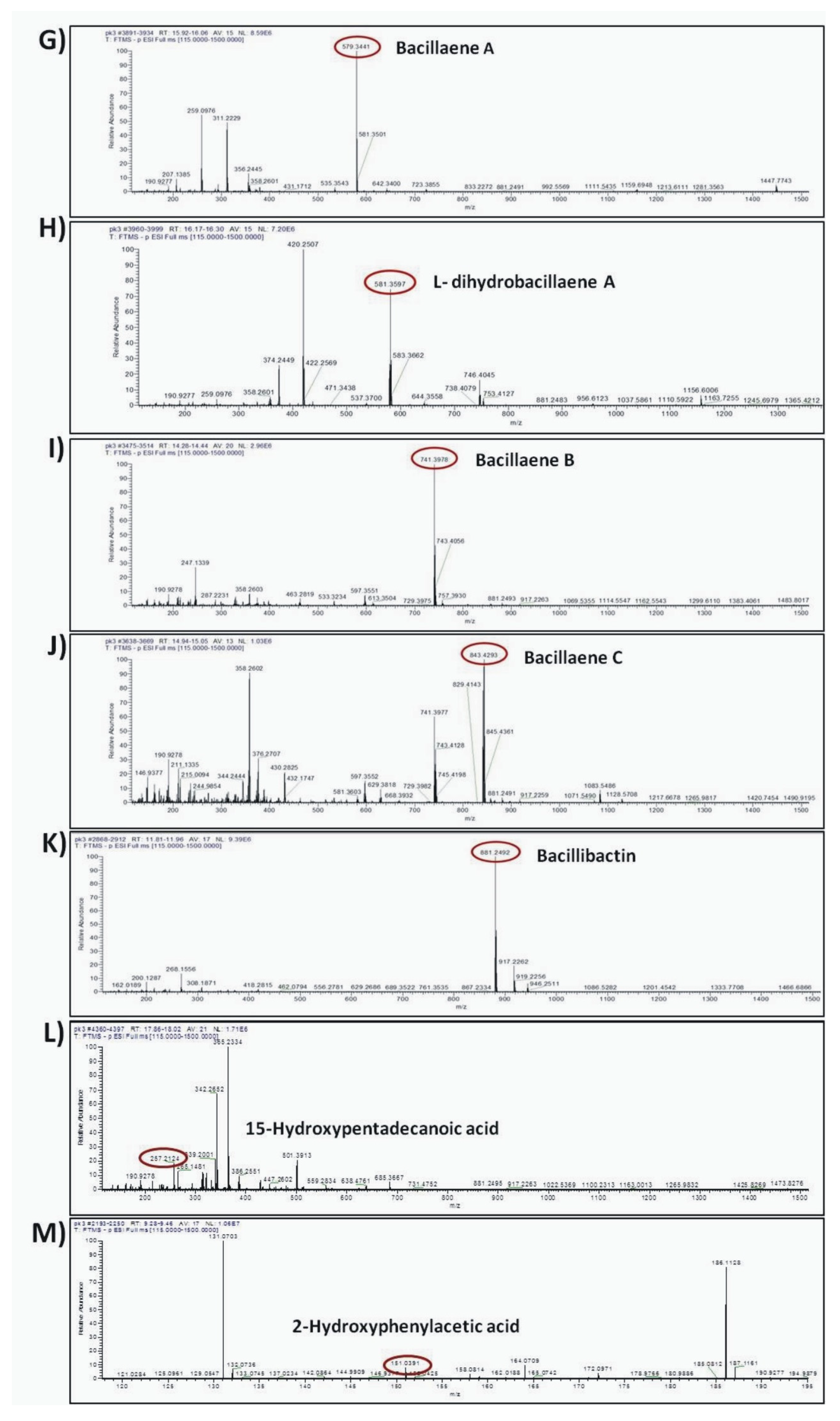 Microorganisms 10 00399 g008b