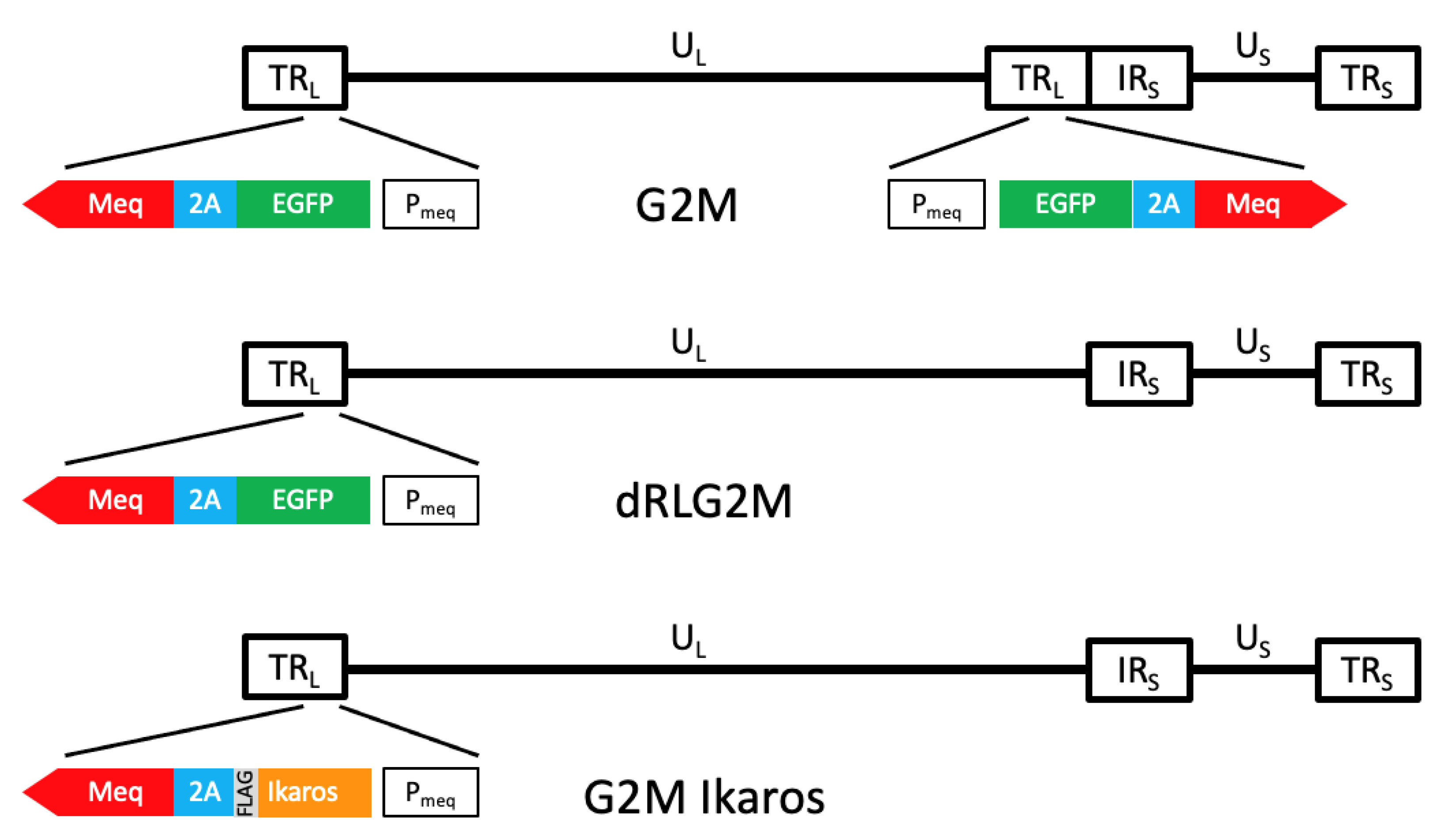 Microorganisms 10 00401 g001