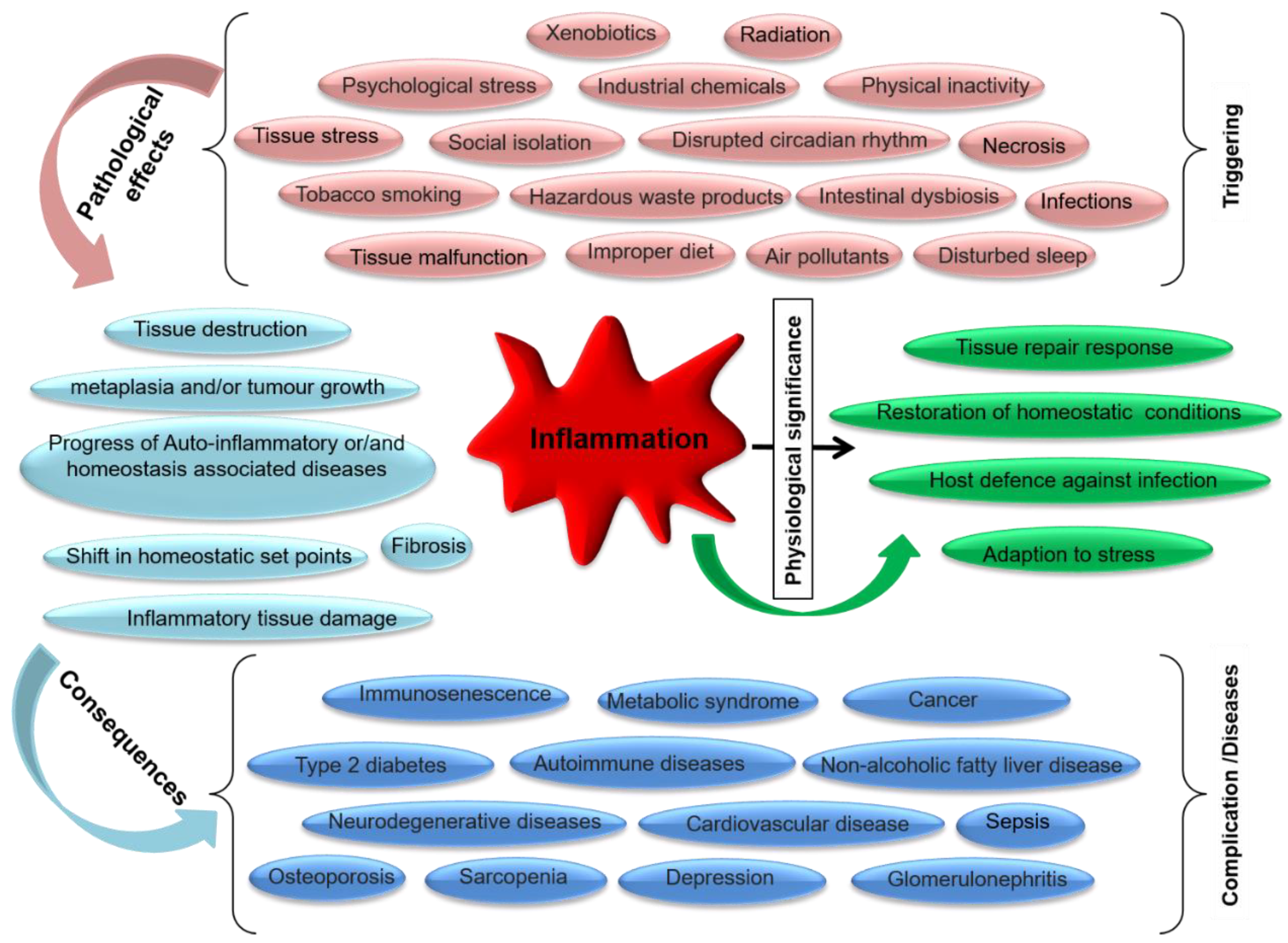 Microorganisms 10 00405 g005