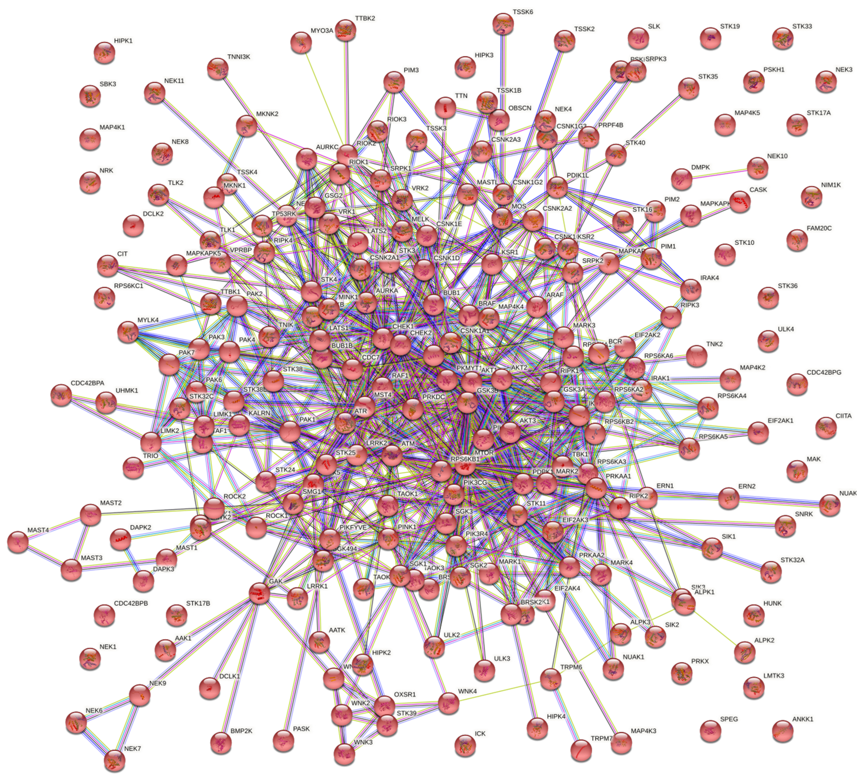 Microorganisms 10 00408 g001