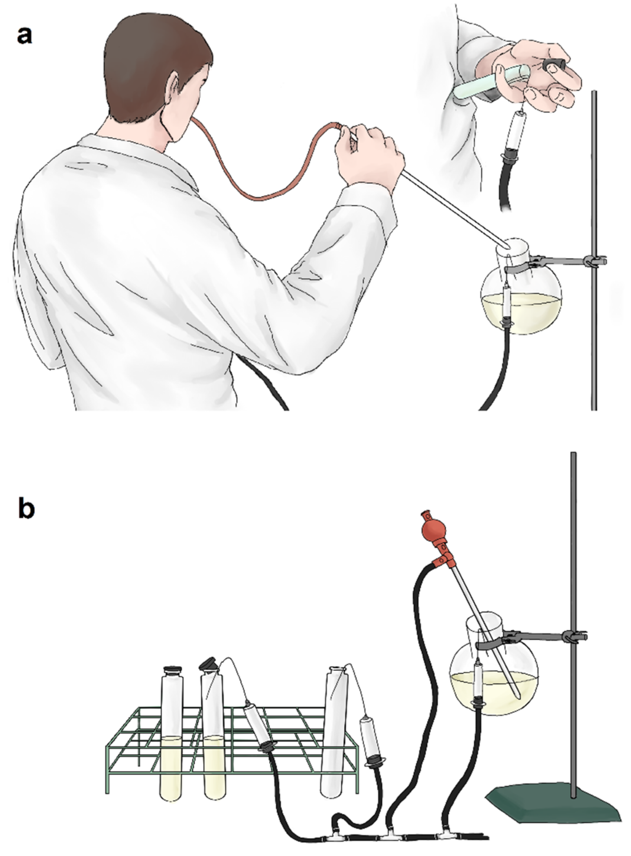 Microorganisms 10 00412 g004