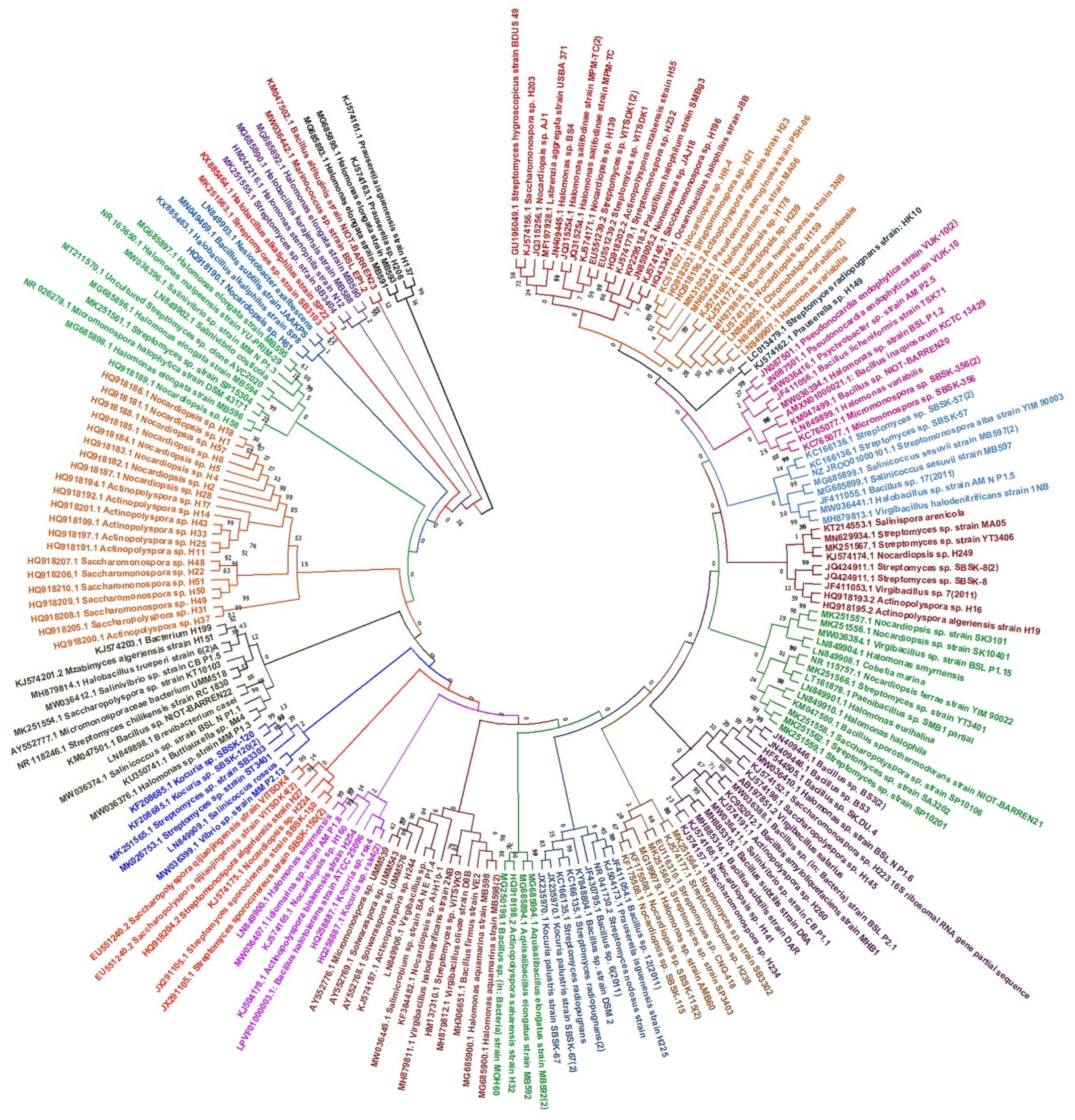 Microorganisms 10 00417 g001
