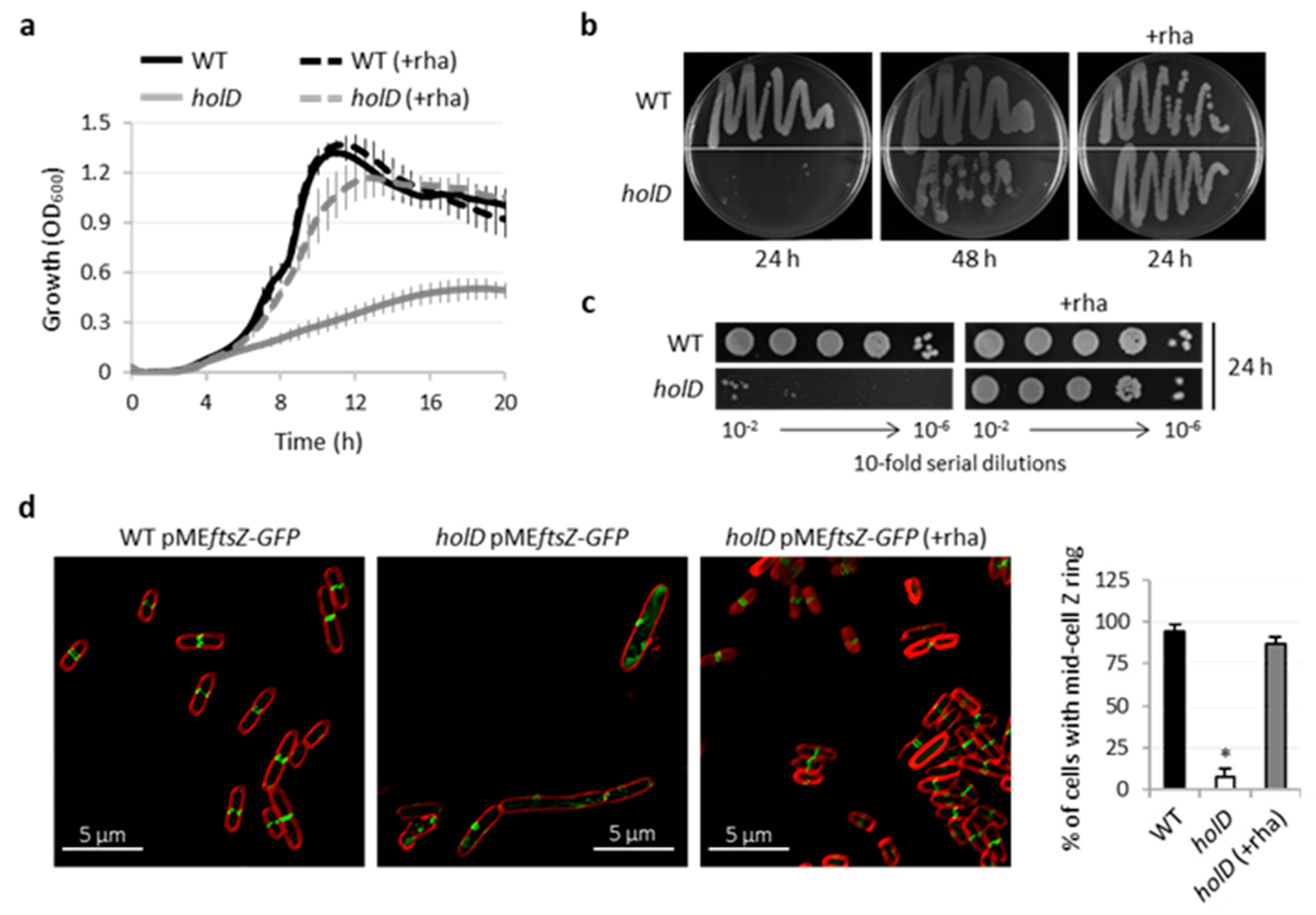 Microorganisms 10 00423 g002