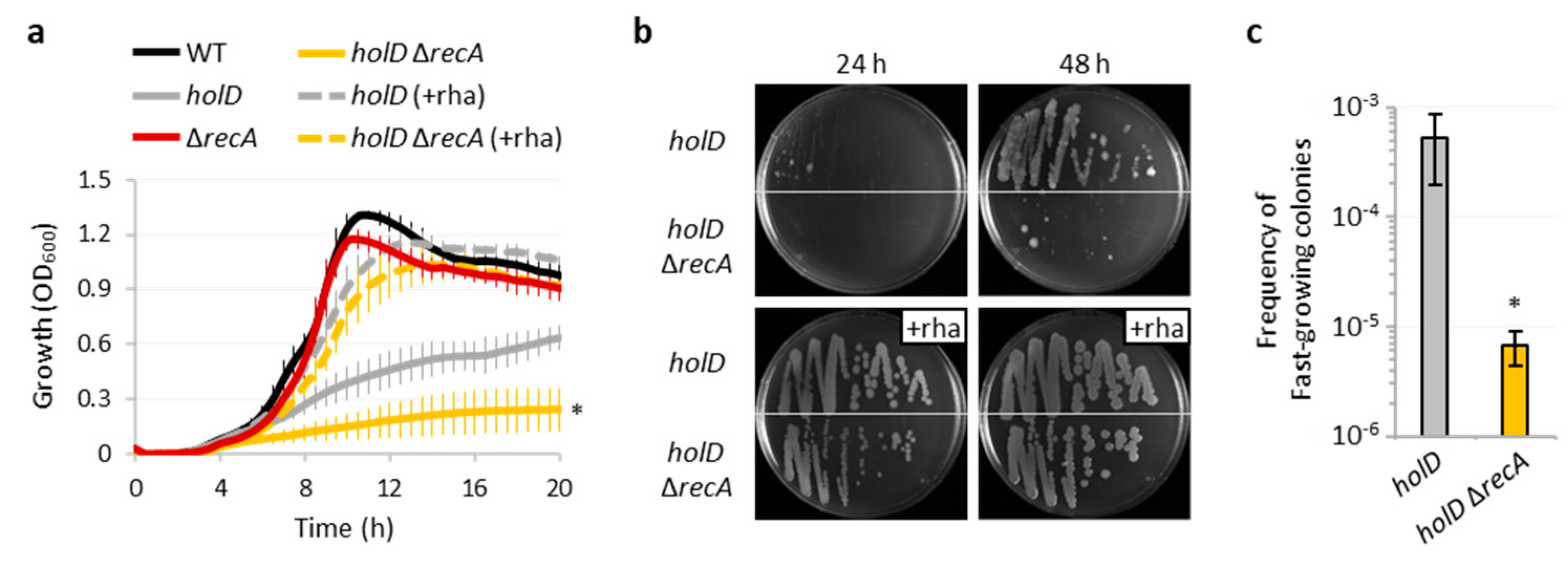 Microorganisms 10 00423 g004