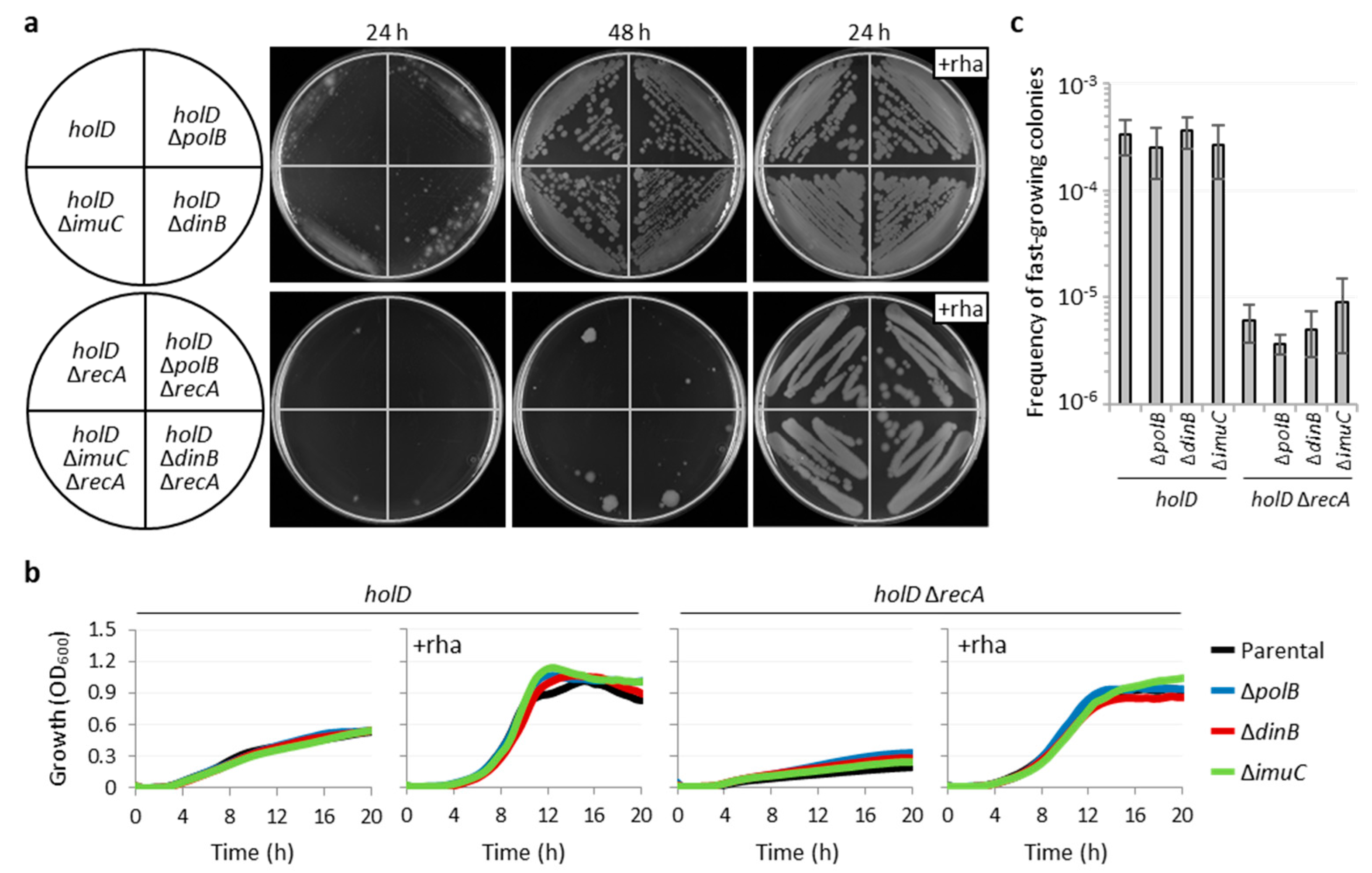 Microorganisms 10 00423 g005