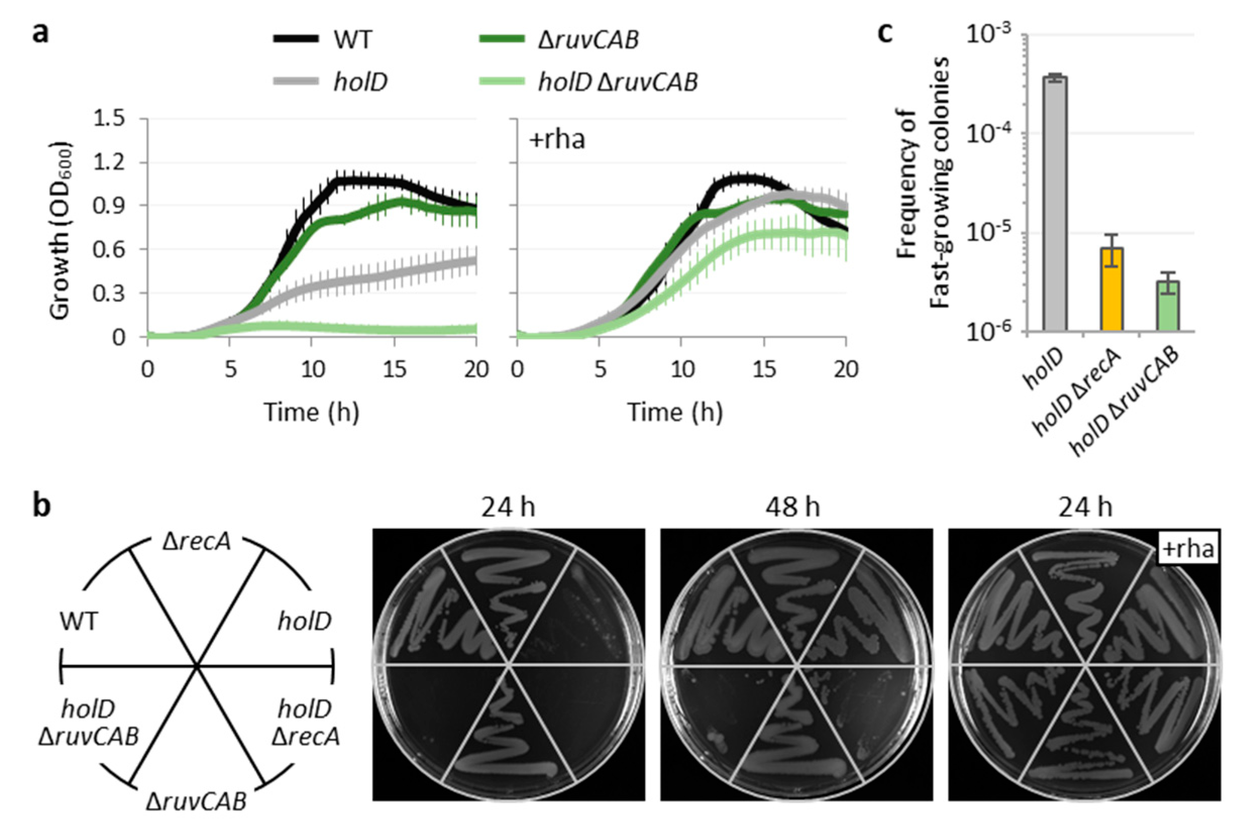Microorganisms 10 00423 g006