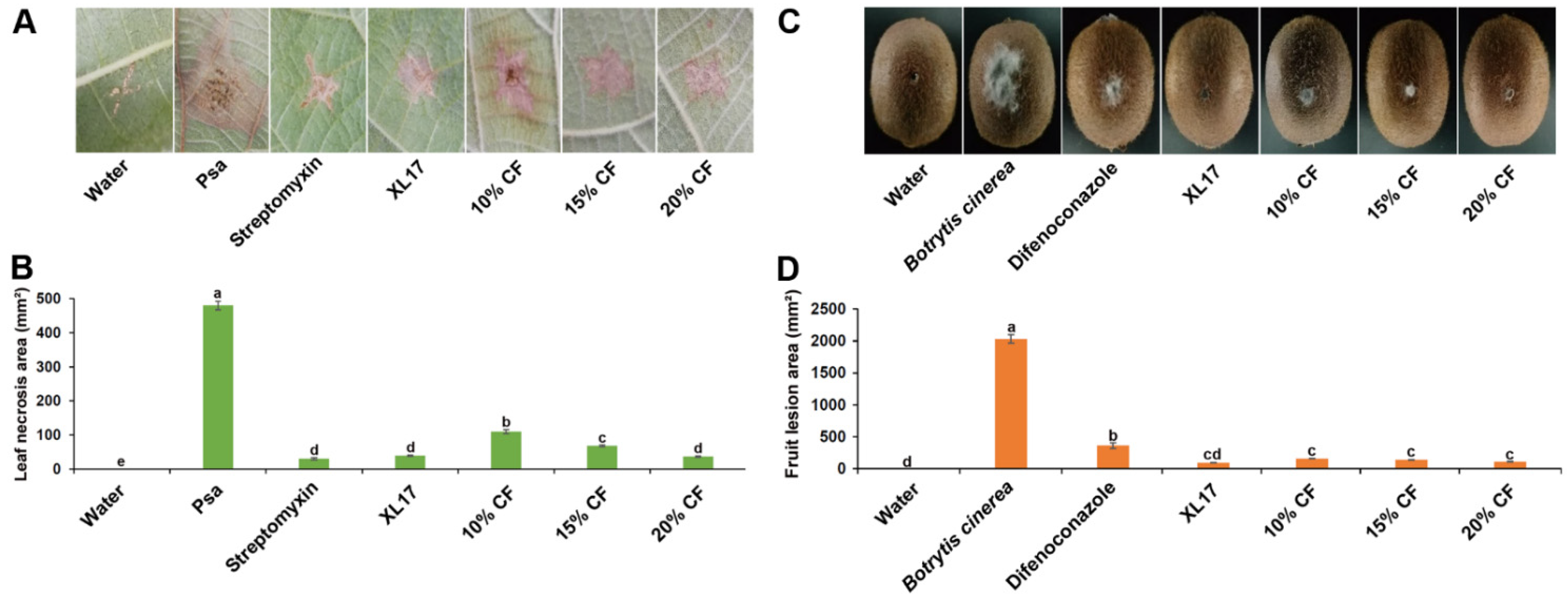 Microorganisms 10 00425 g004