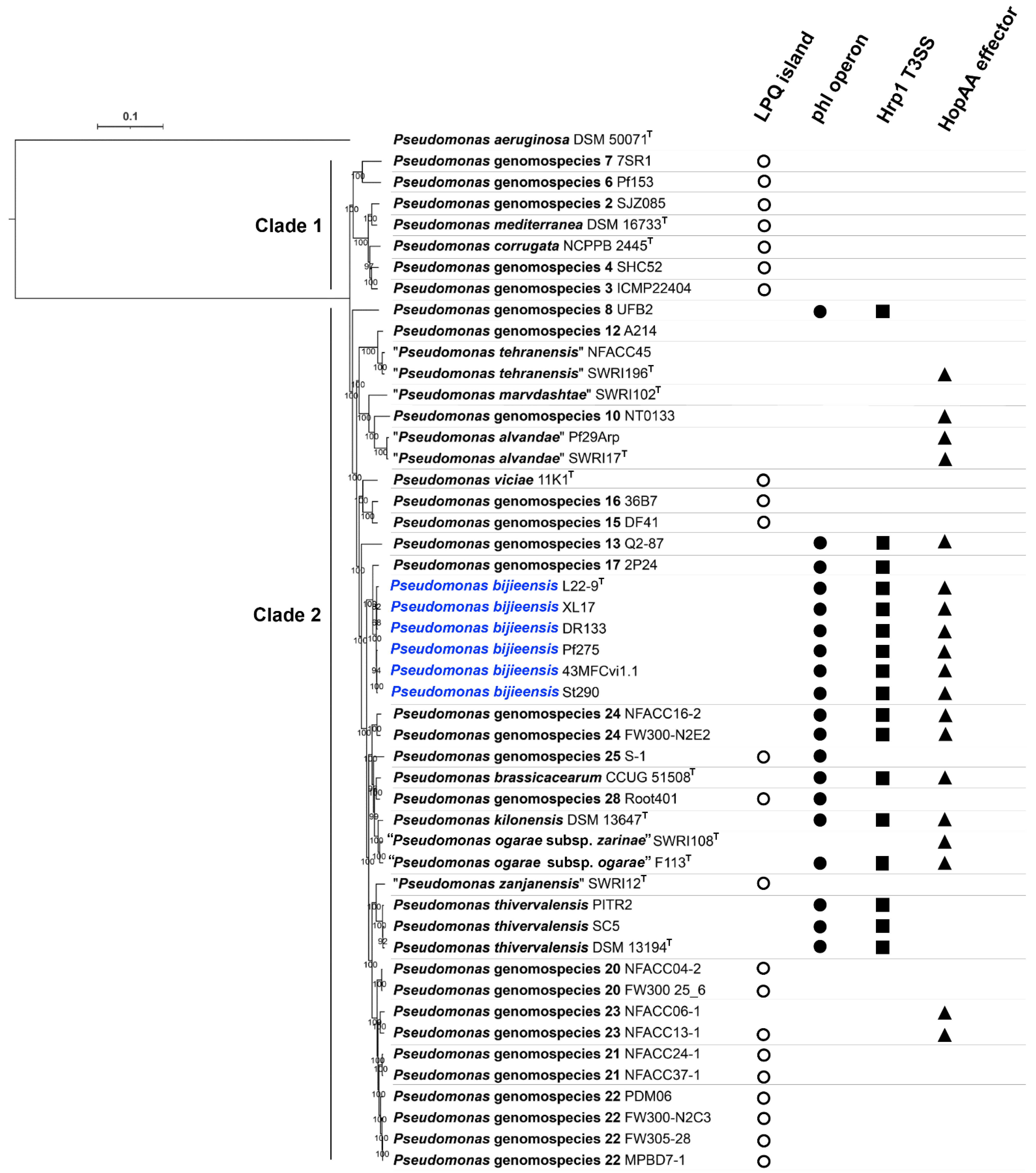 Microorganisms 10 00425 g006