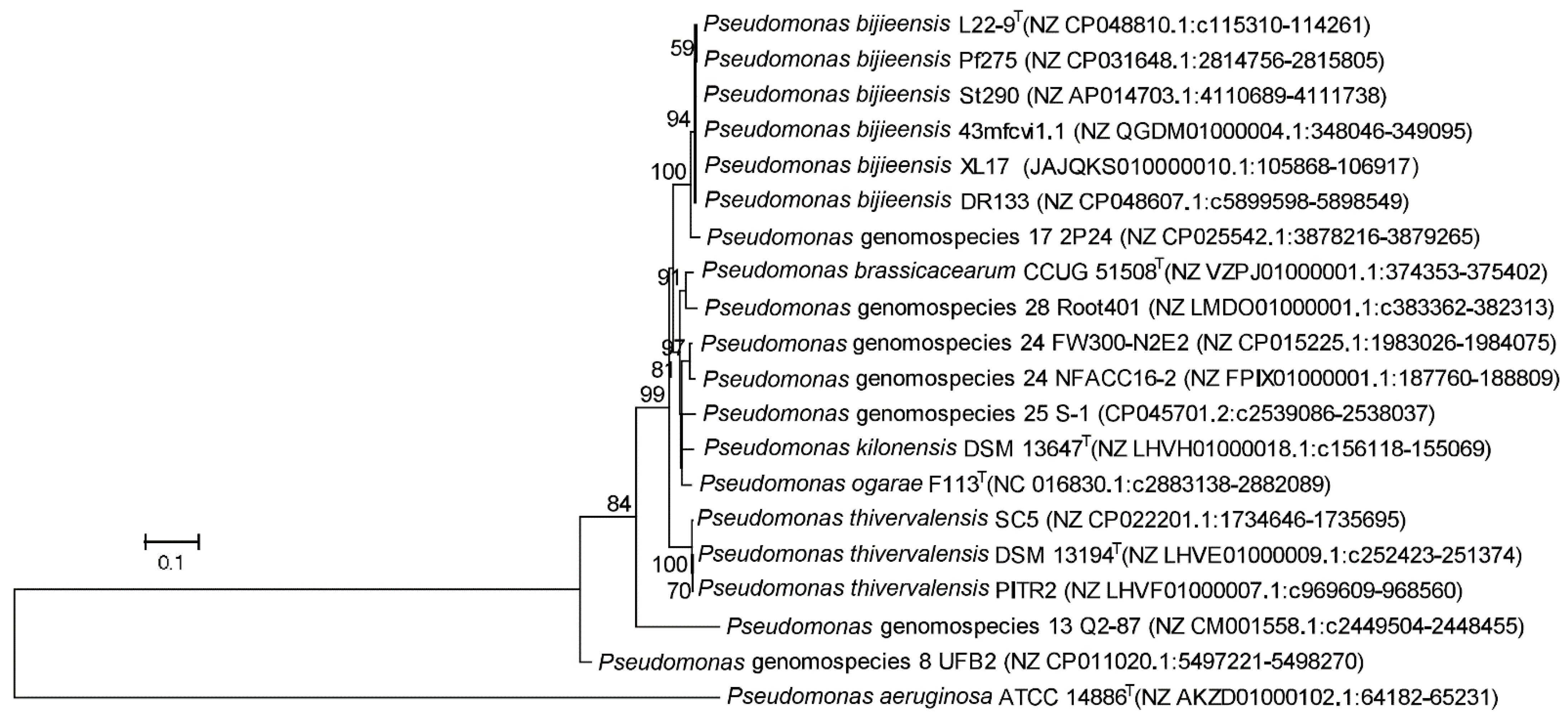 Microorganisms 10 00425 g007
