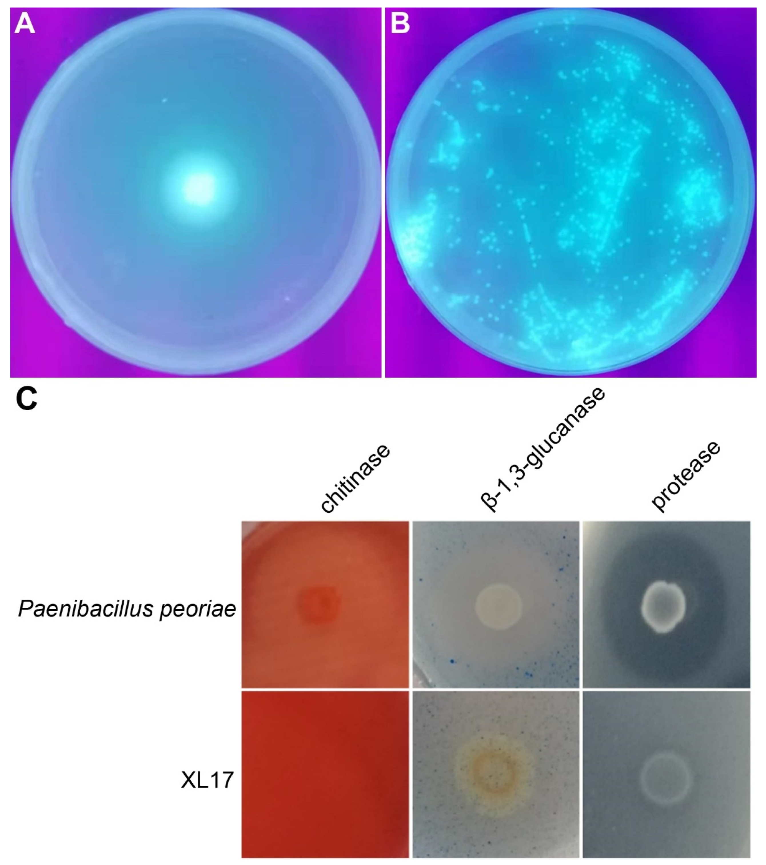 Microorganisms 10 00425 g009