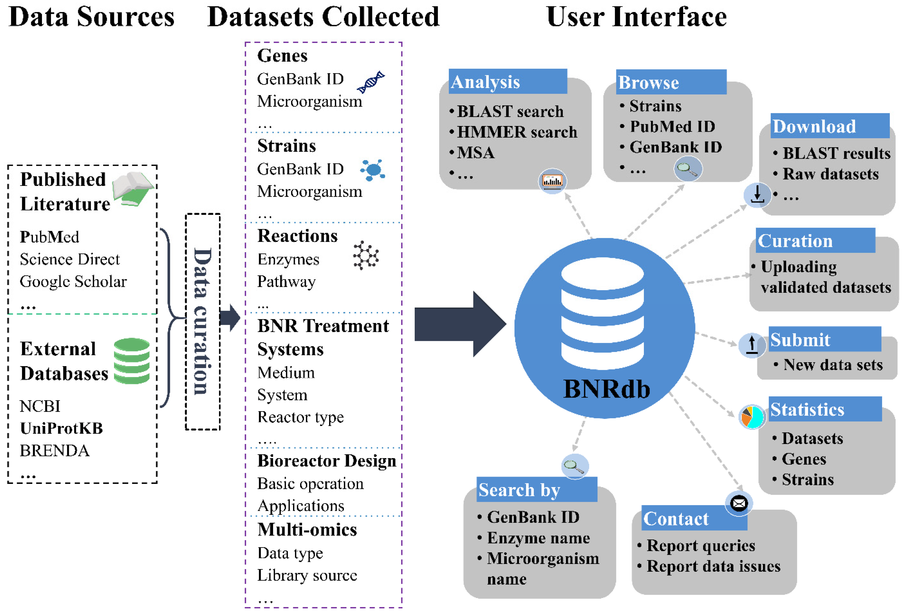 Microorganisms 10 00431 g001