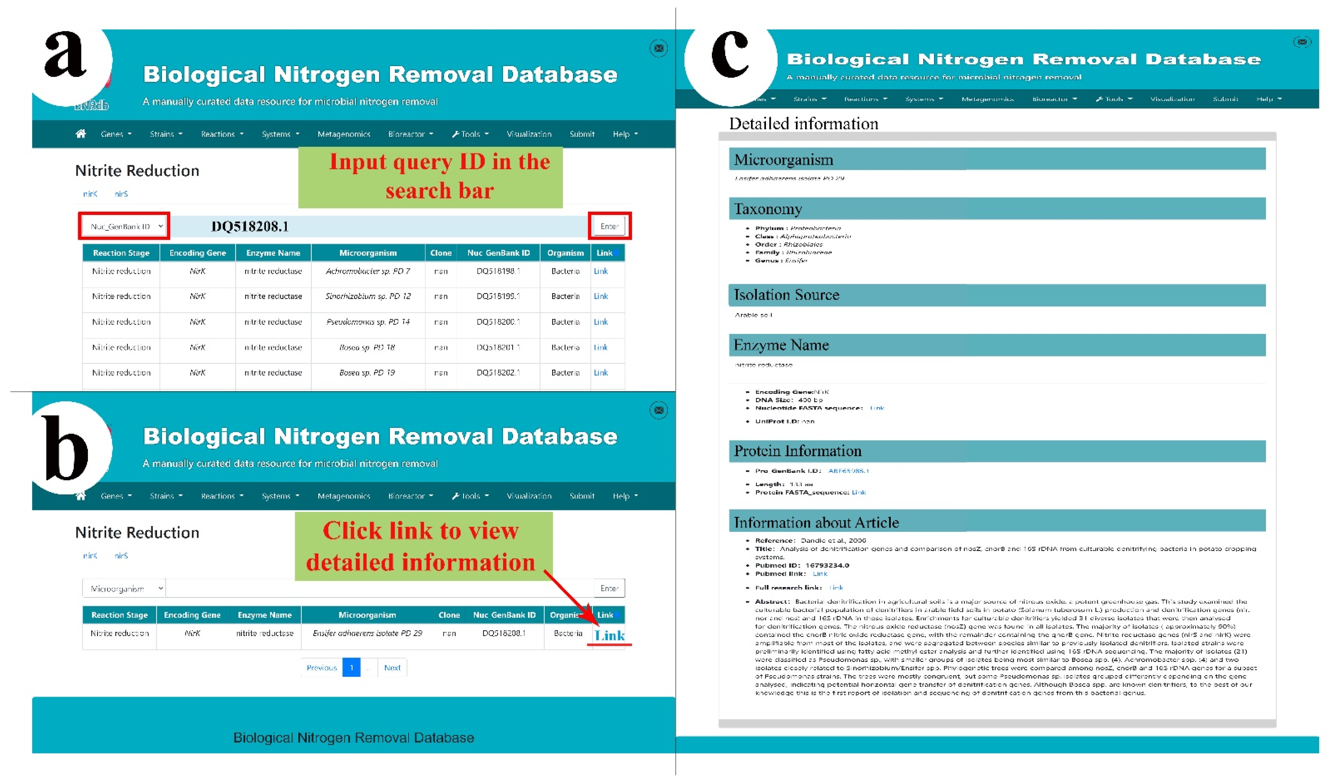 Microorganisms 10 00431 g003