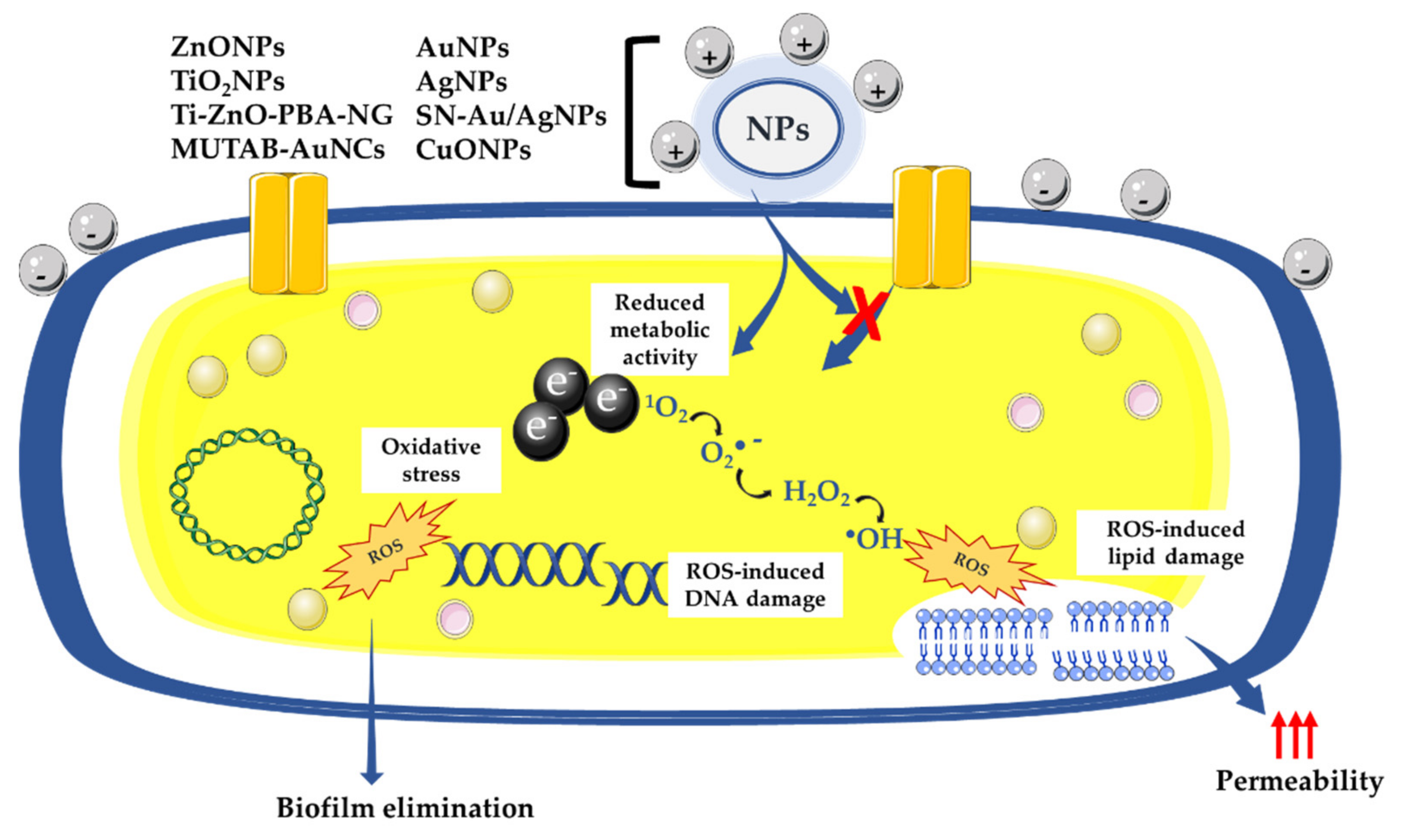 Microorganisms 10 00437 g001