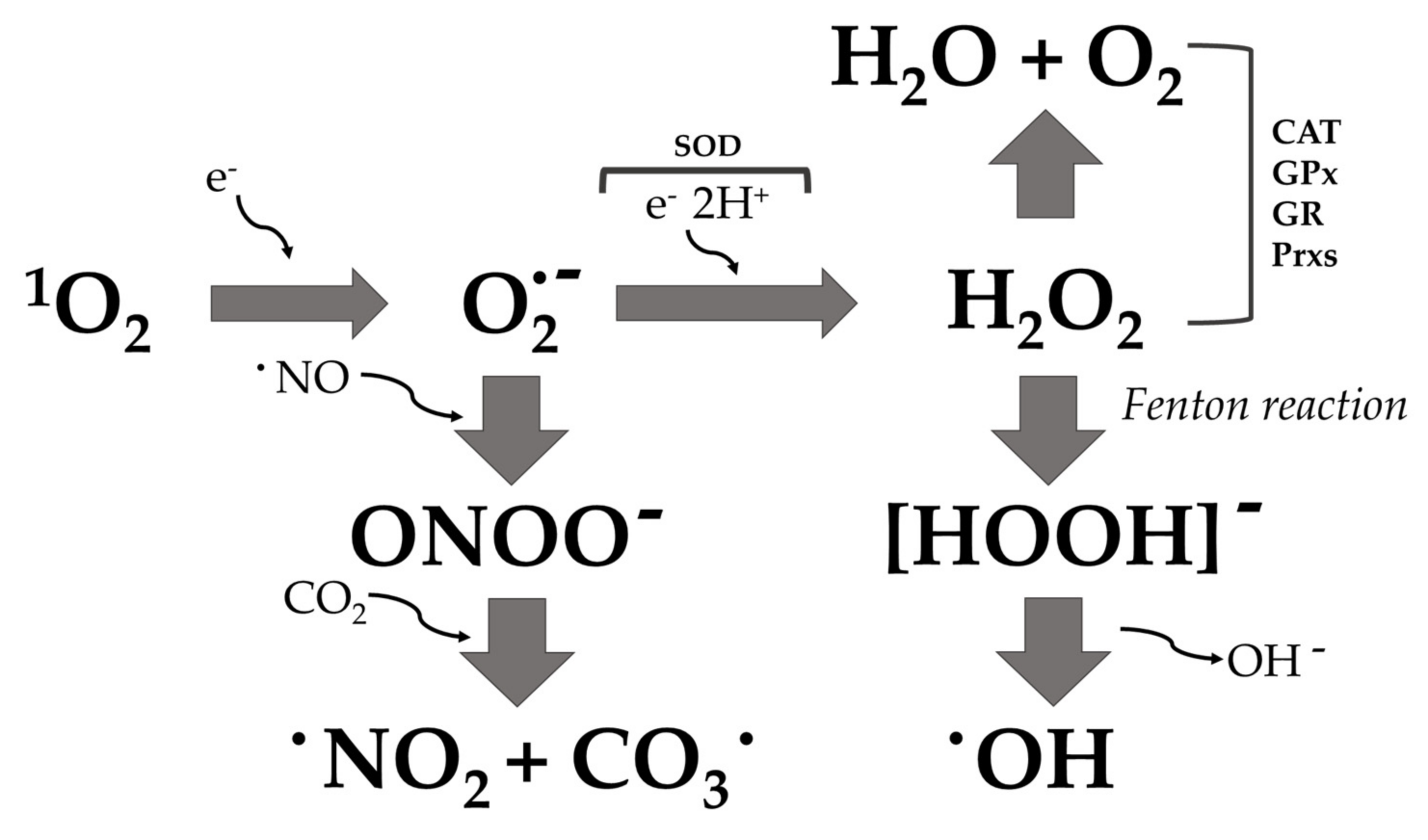 Microorganisms 10 00437 g002
