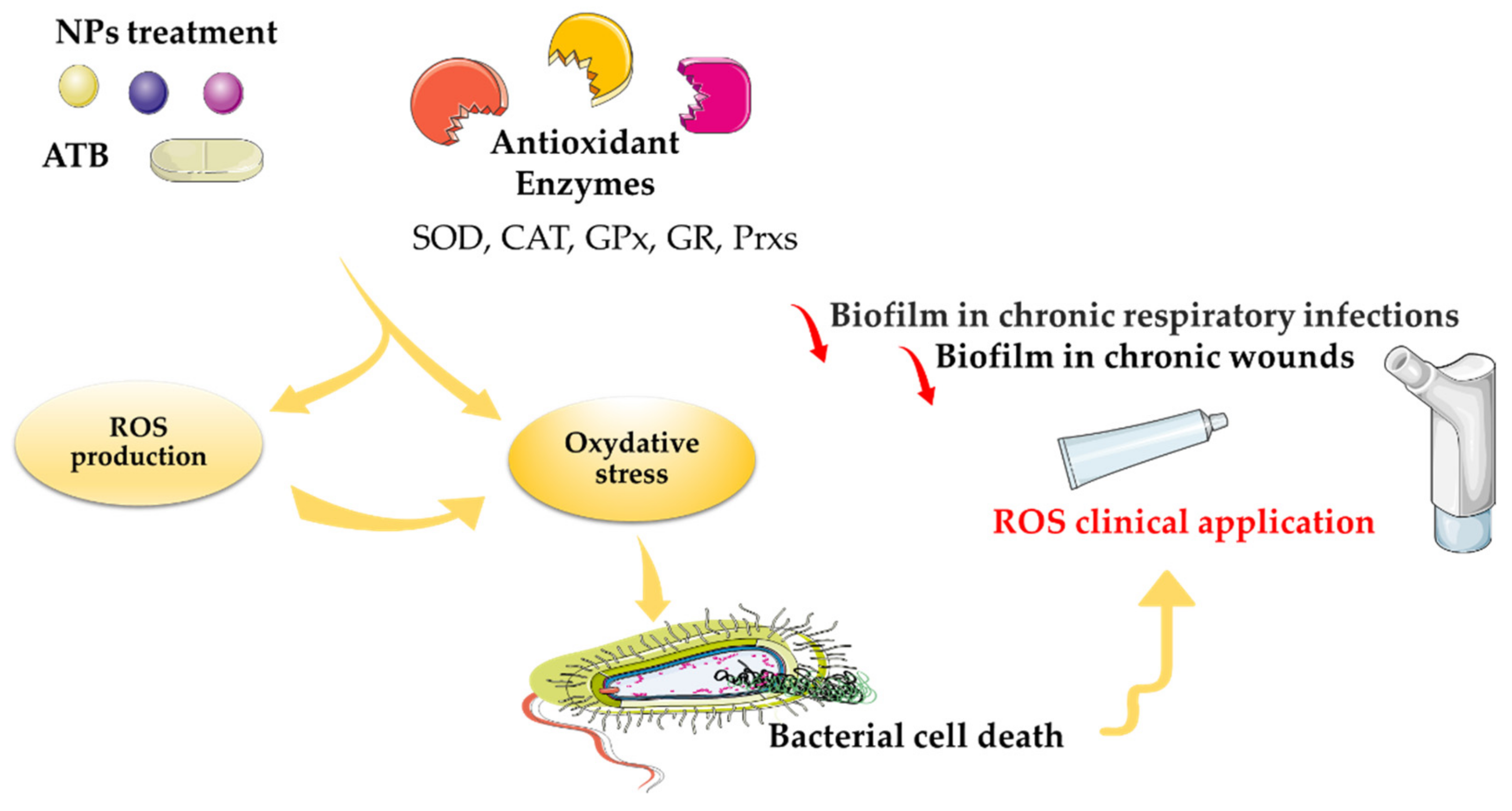 Microorganisms 10 00437 g004