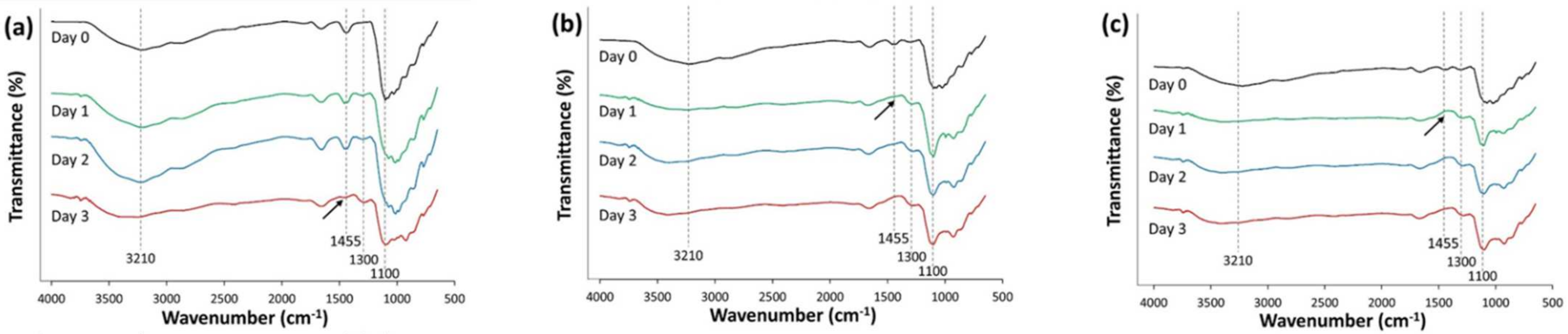Microorganisms 10 00438 g003