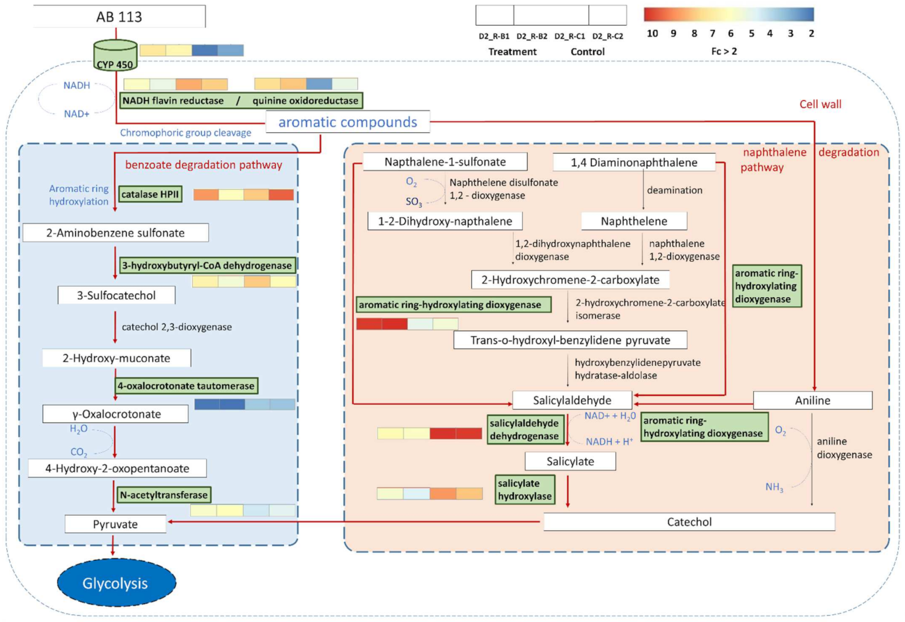 Microorganisms 10 00438 g006