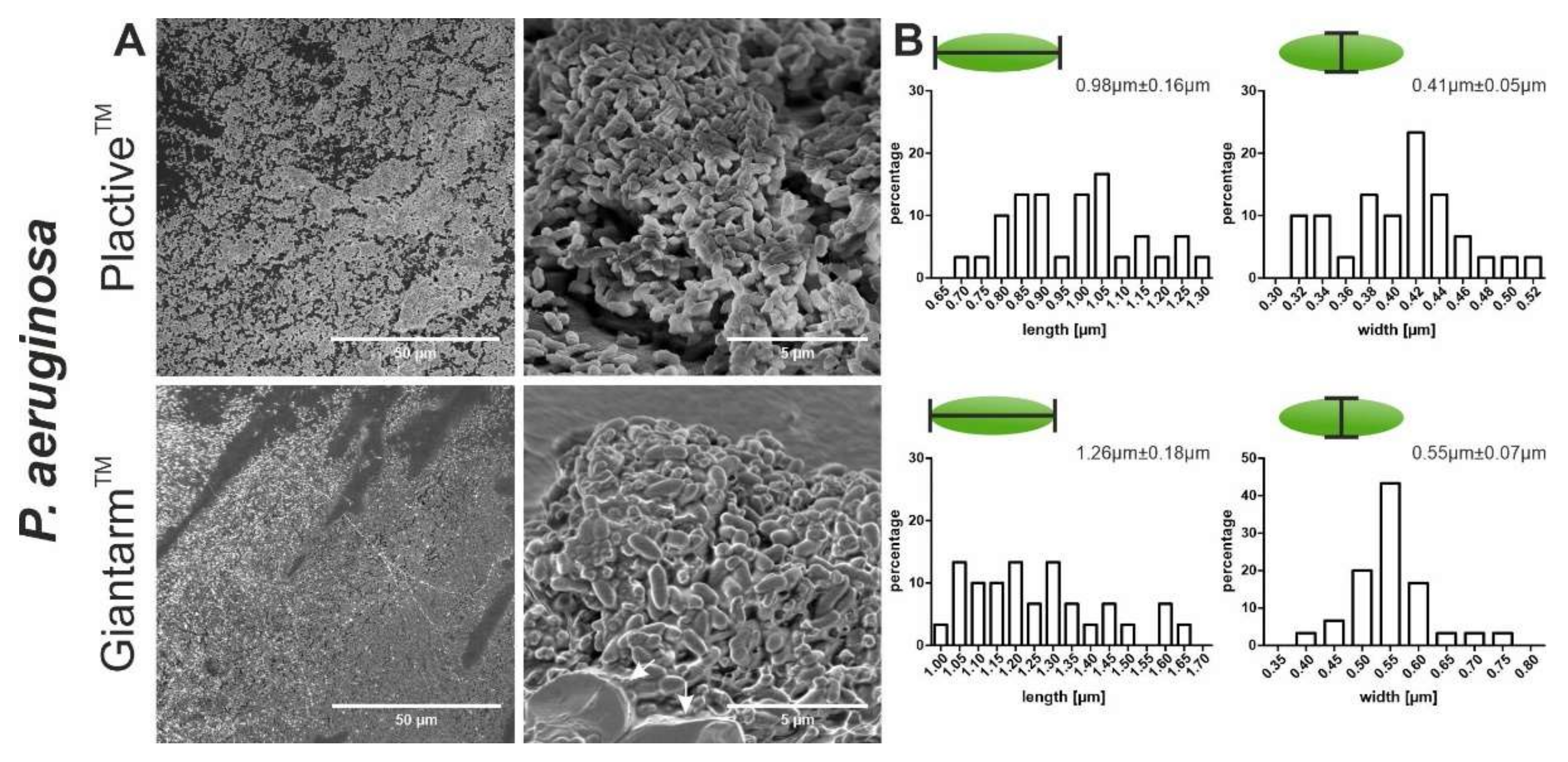 Microorganisms 10 00439 g002