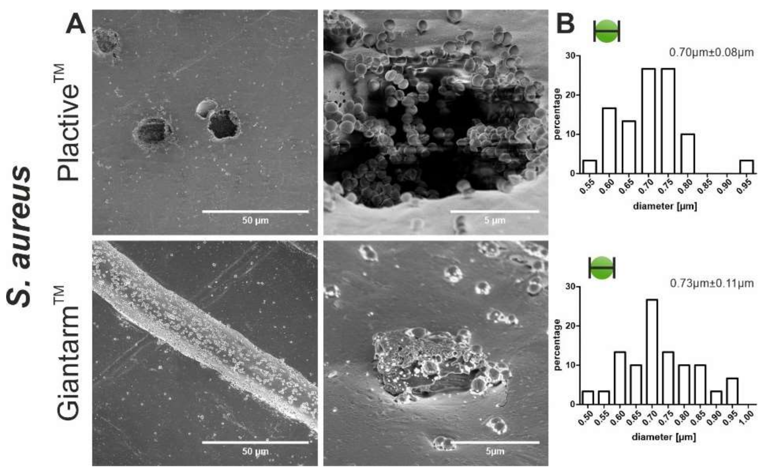 Microorganisms 10 00439 g003