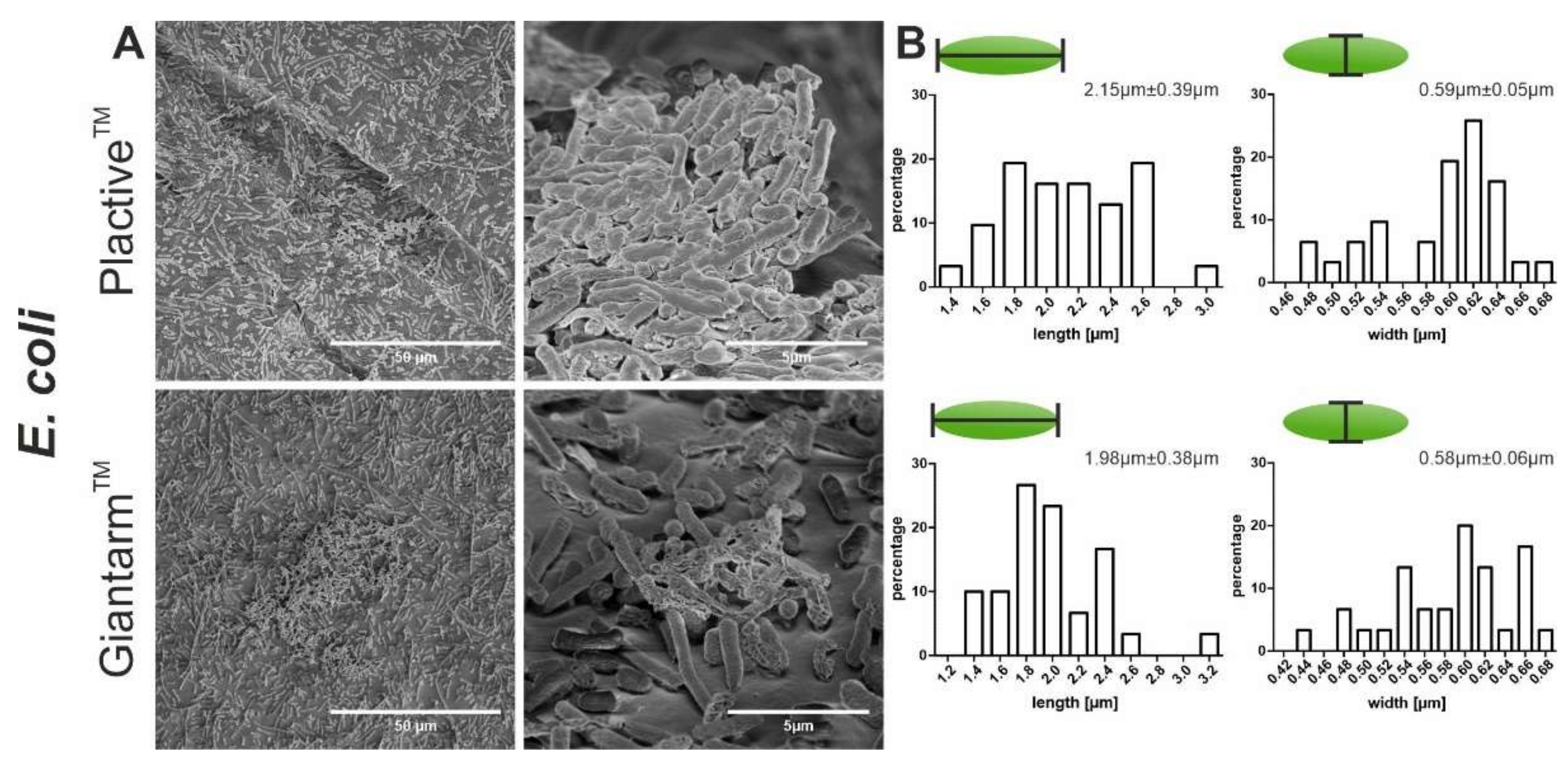 Microorganisms 10 00439 g004