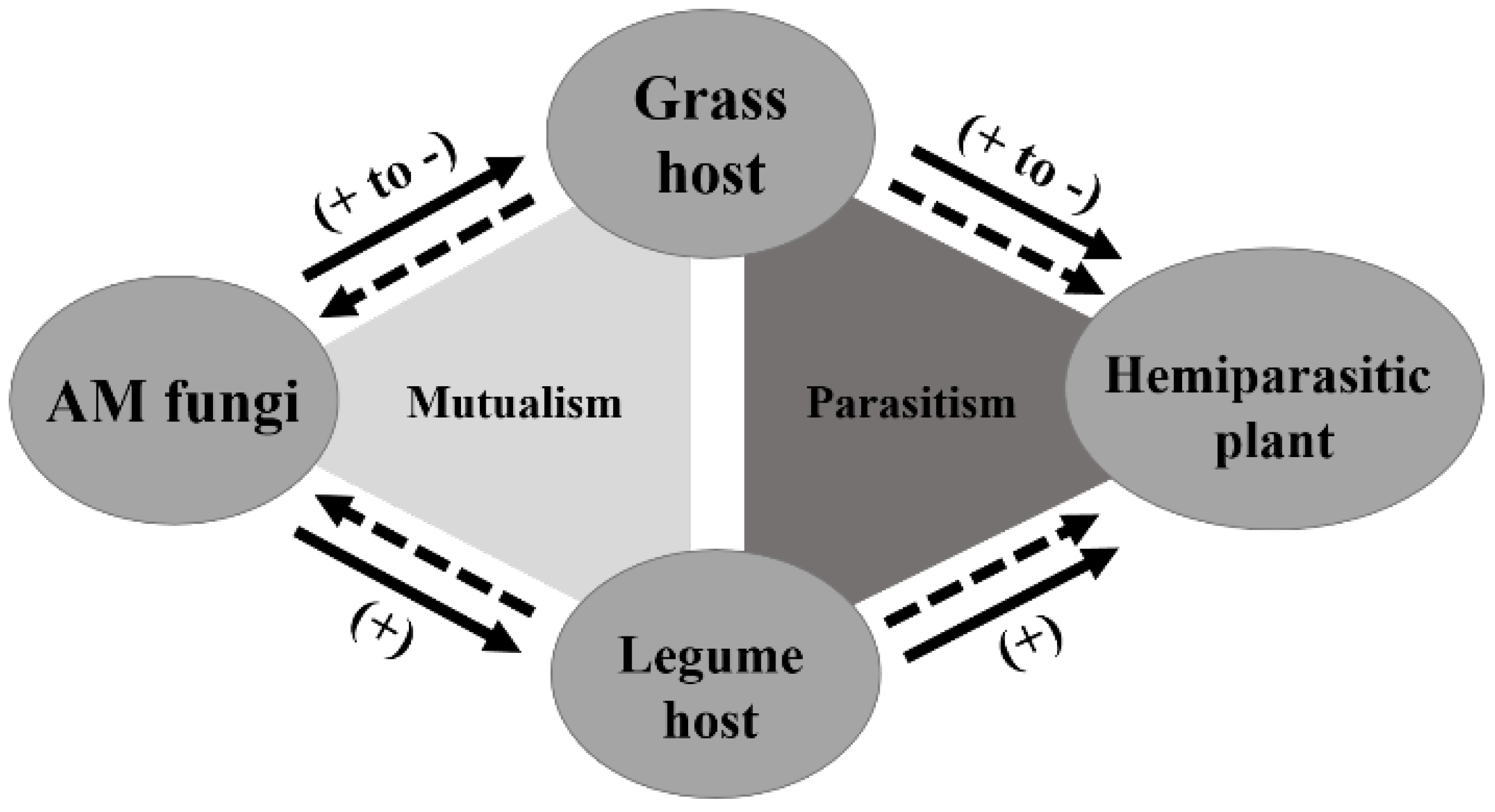 Microorganisms 10 00440 g006