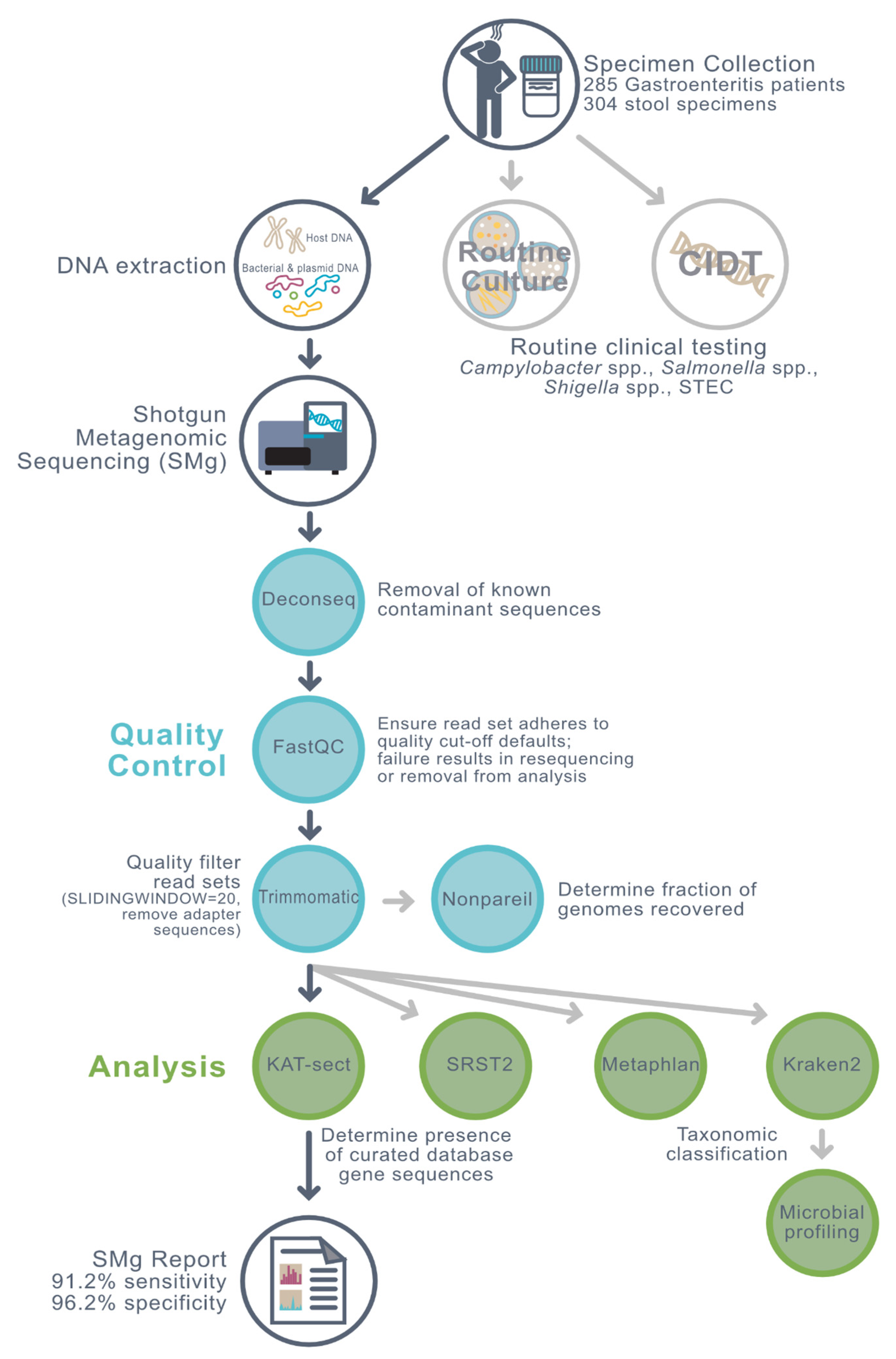 Microorganisms 10 00441 g001