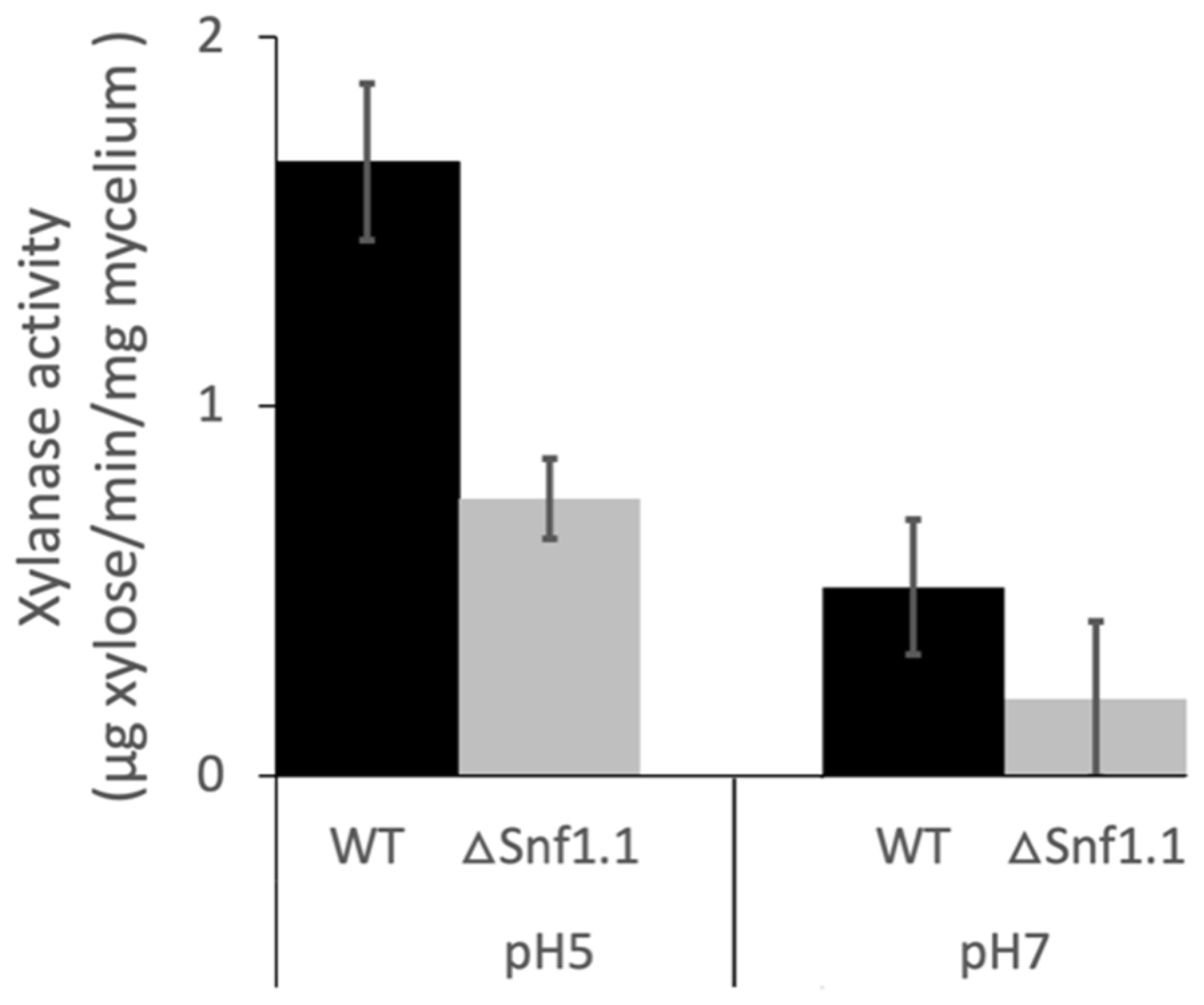 Microorganisms 10 00444 g005