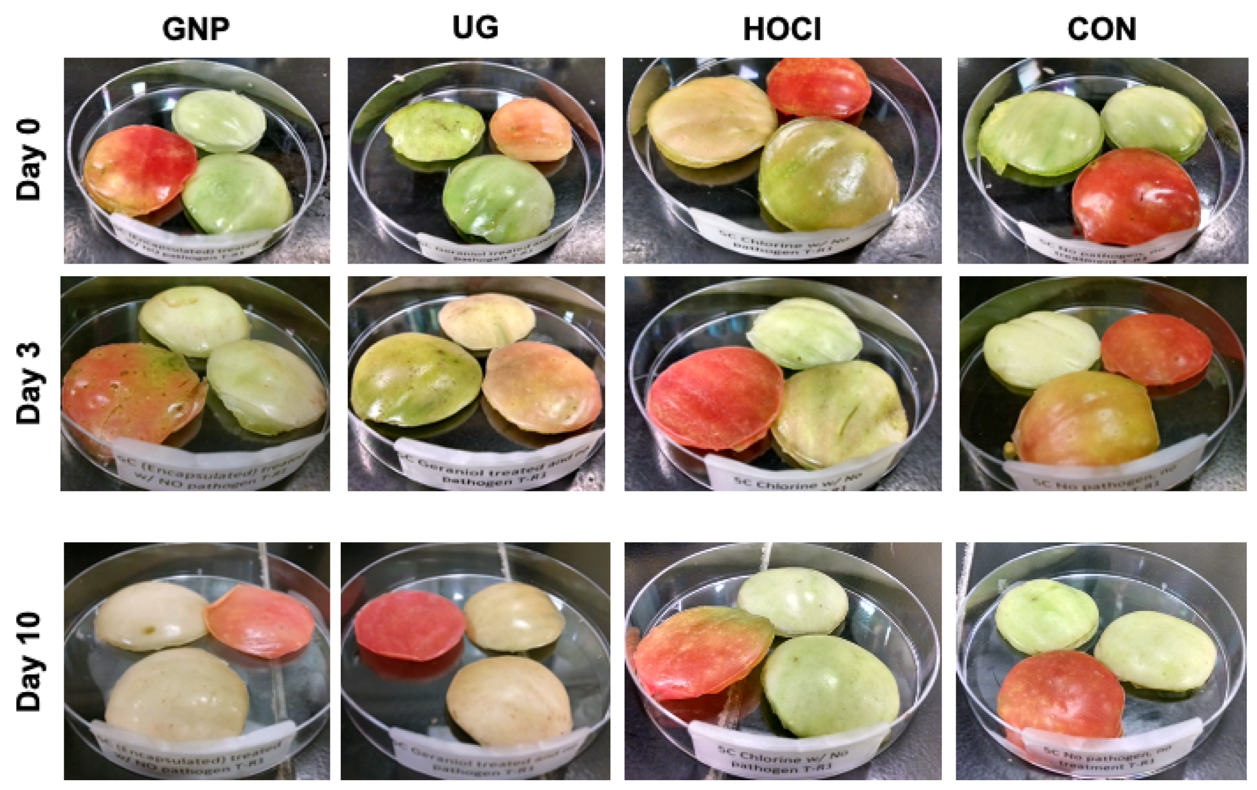 Microorganisms 10 00448 g004