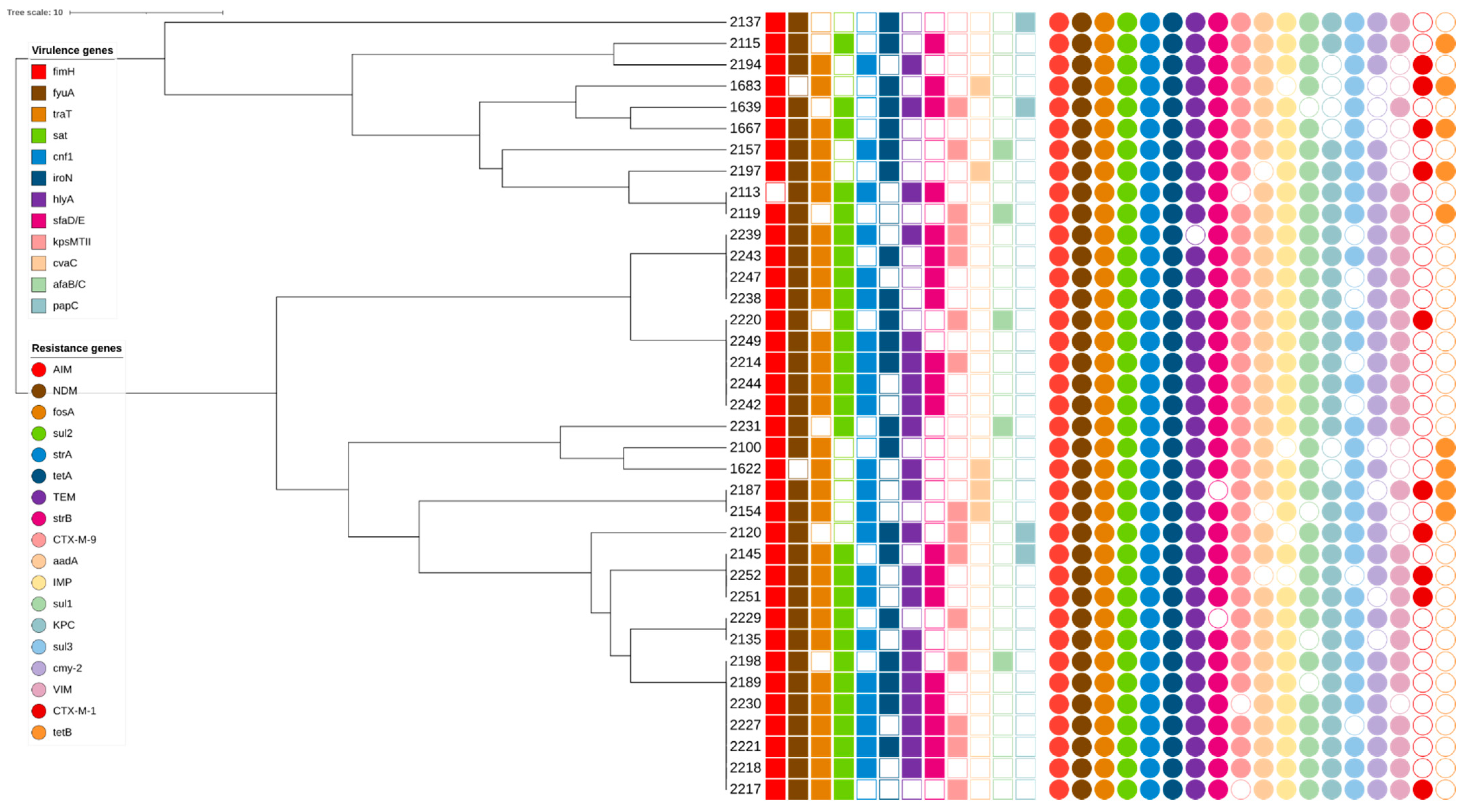 Microorganisms 10 00449 g001