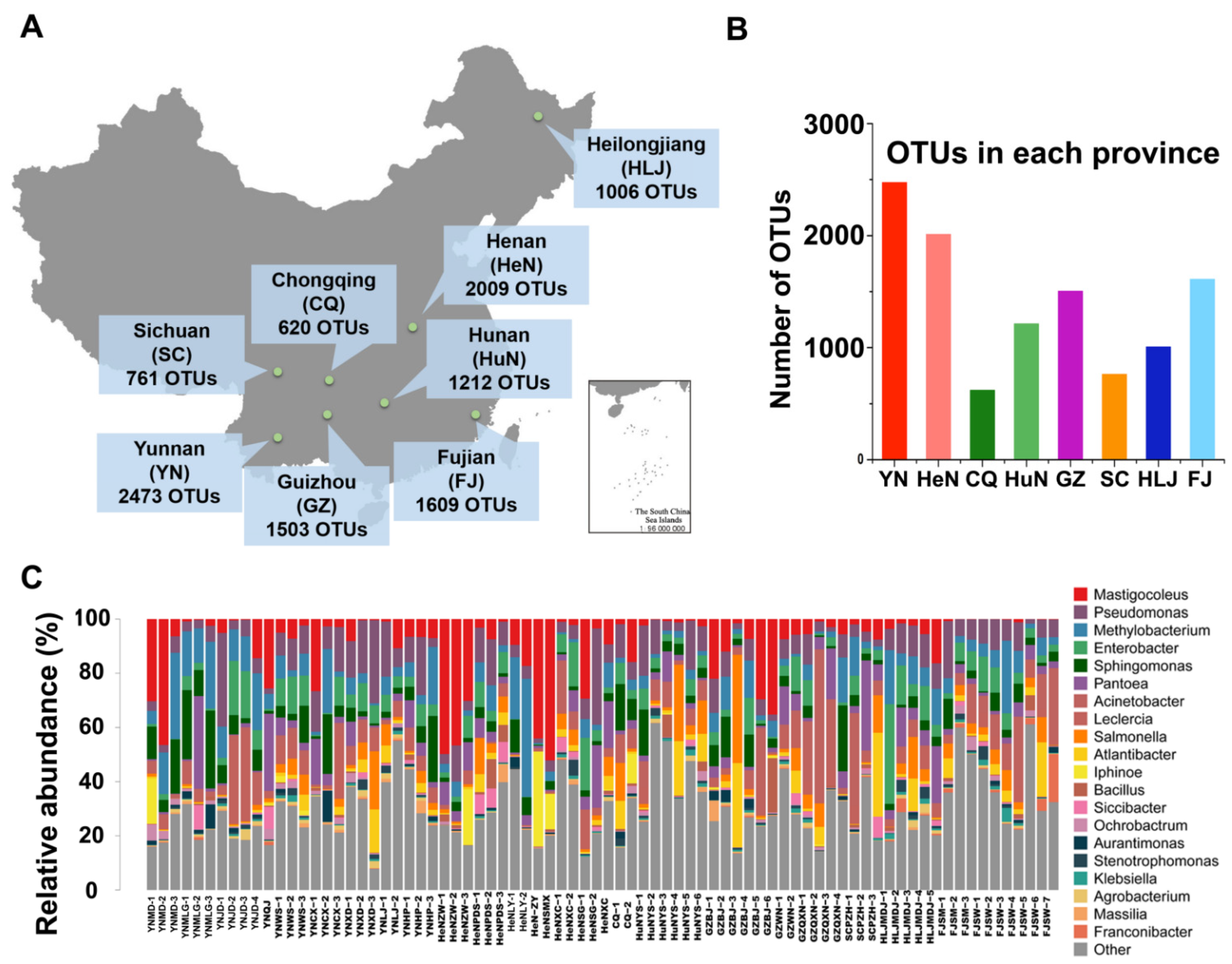Microorganisms 10 00450 g001