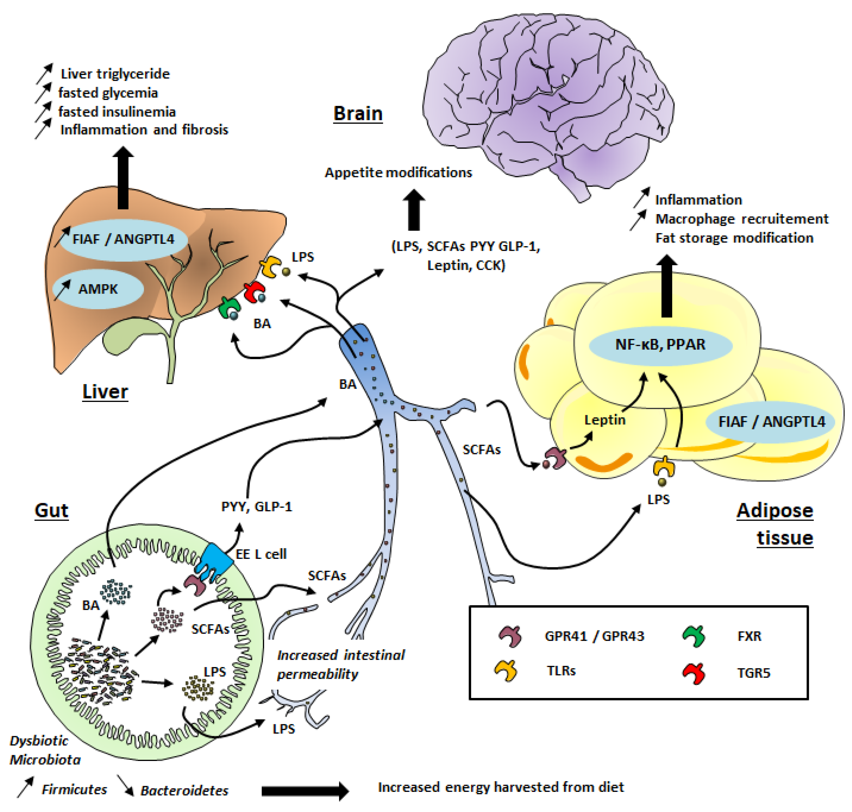 Microorganisms 10 00452 g001