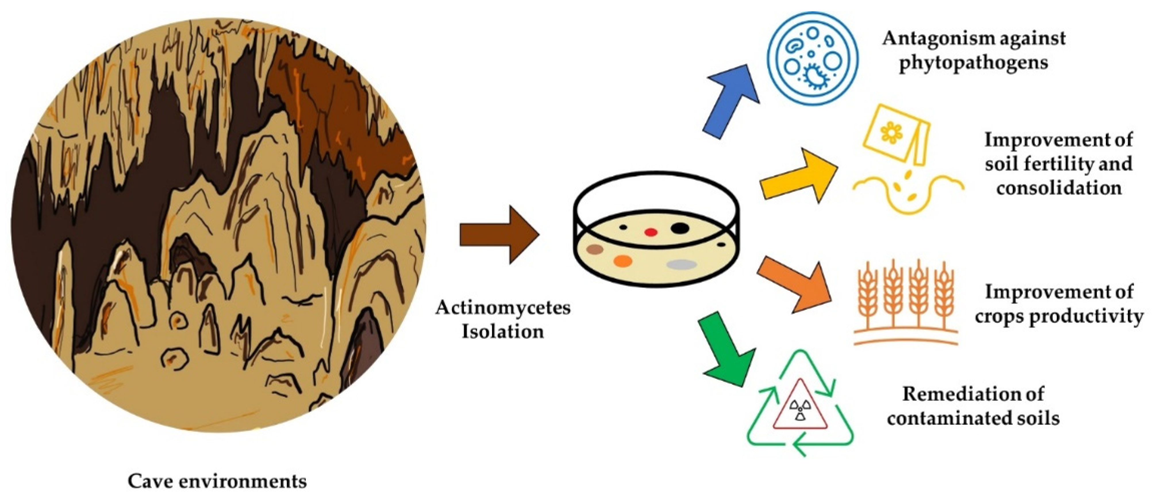 Microorganisms 10 00453 g002