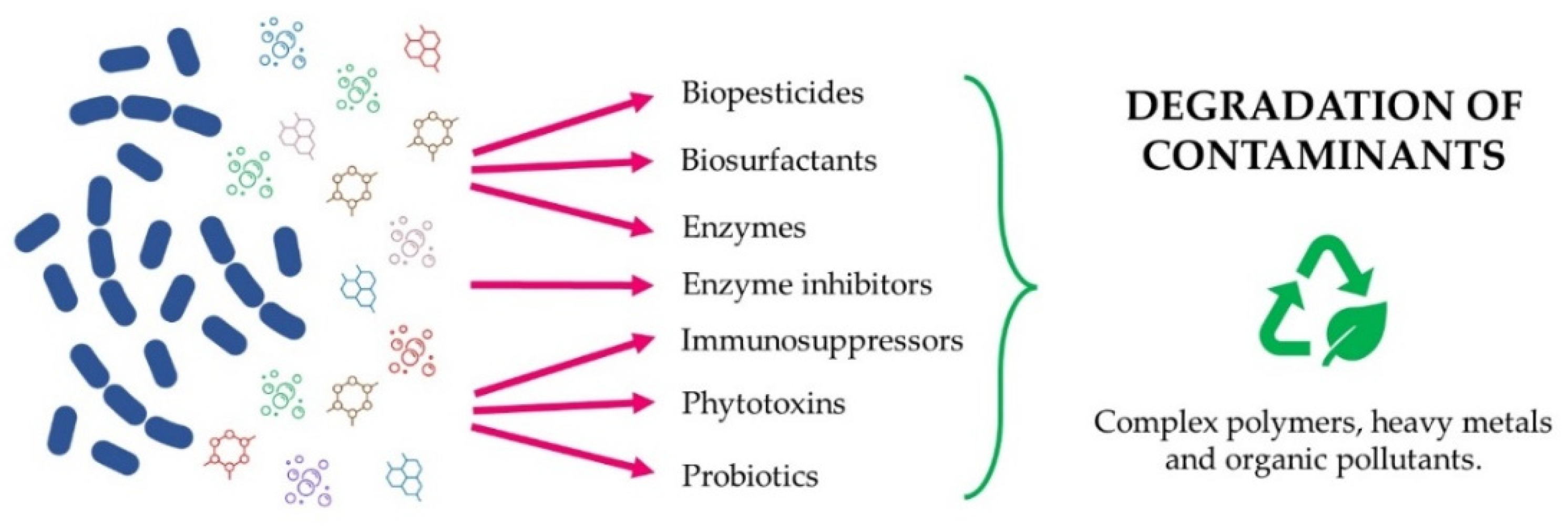 Microorganisms 10 00453 g004