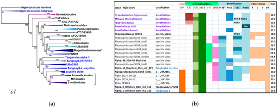 Microorganisms 10 00455 g002