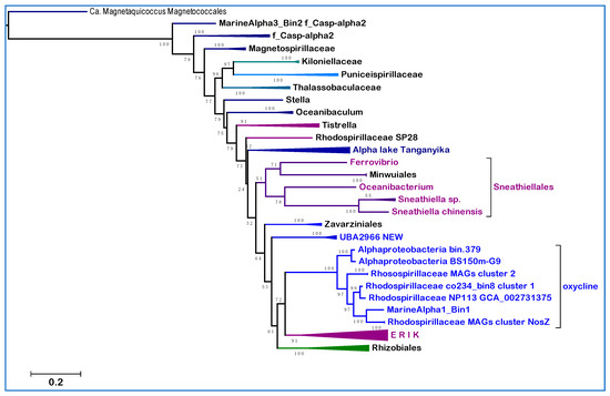 Microorganisms 10 00455 g003