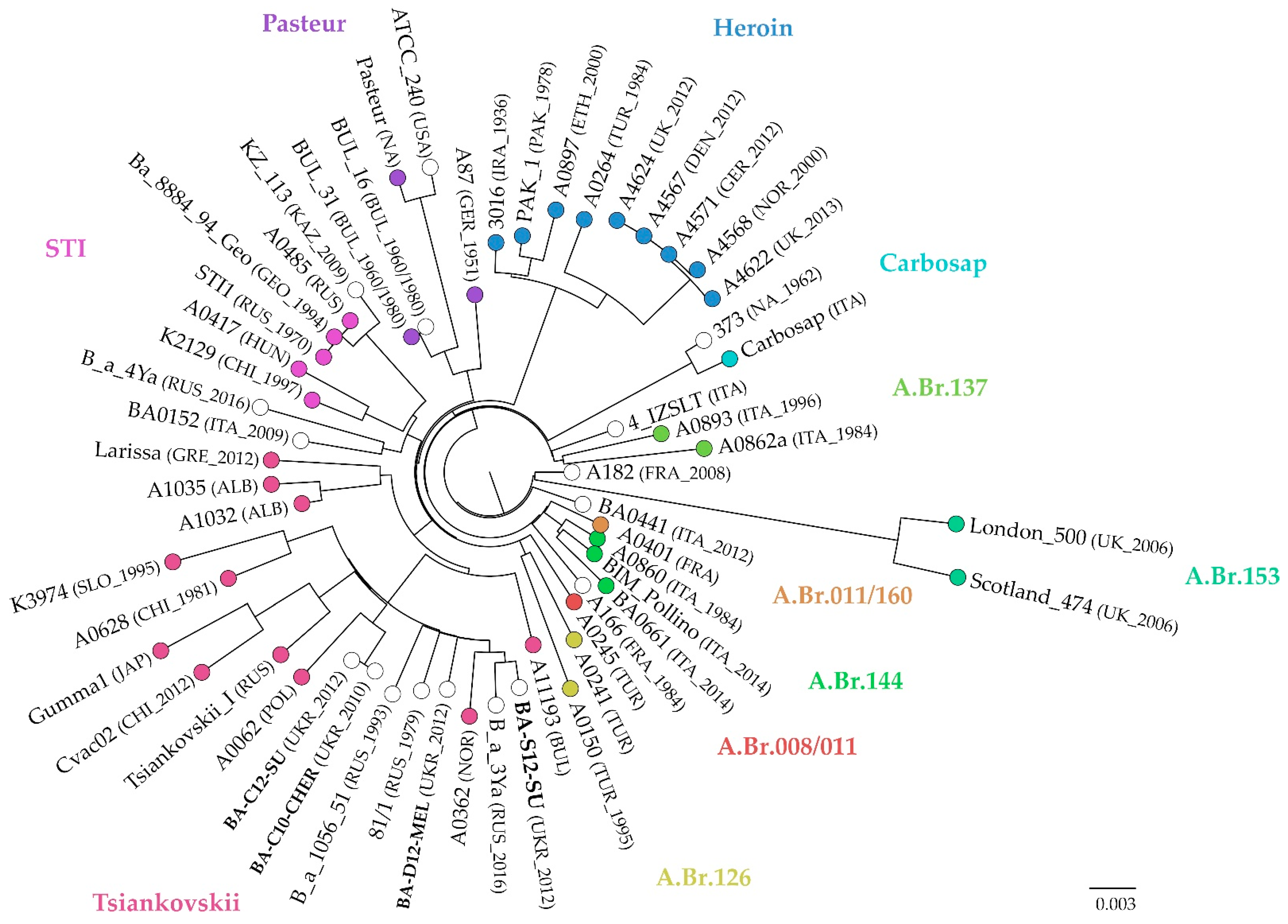 Microorganisms 10 00461 g003